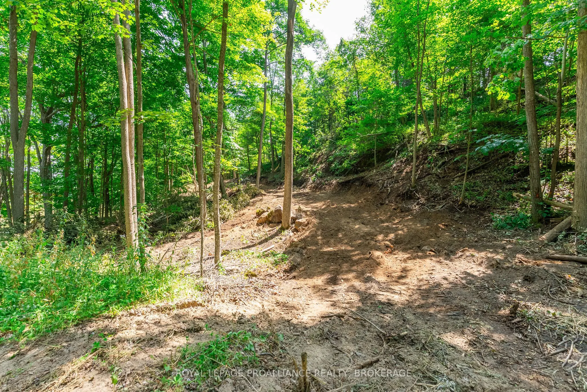 Lot 2 Trillium Lane
