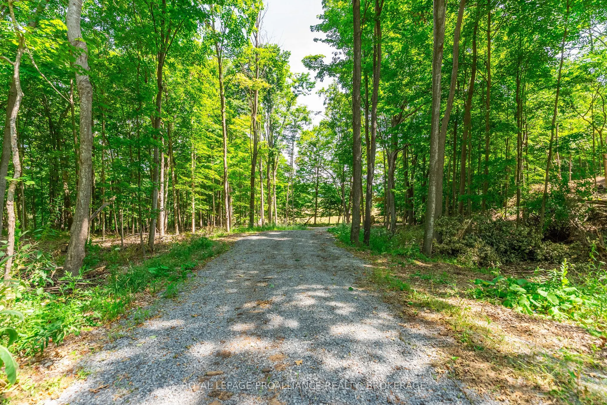 Lot 2 Trillium Lane