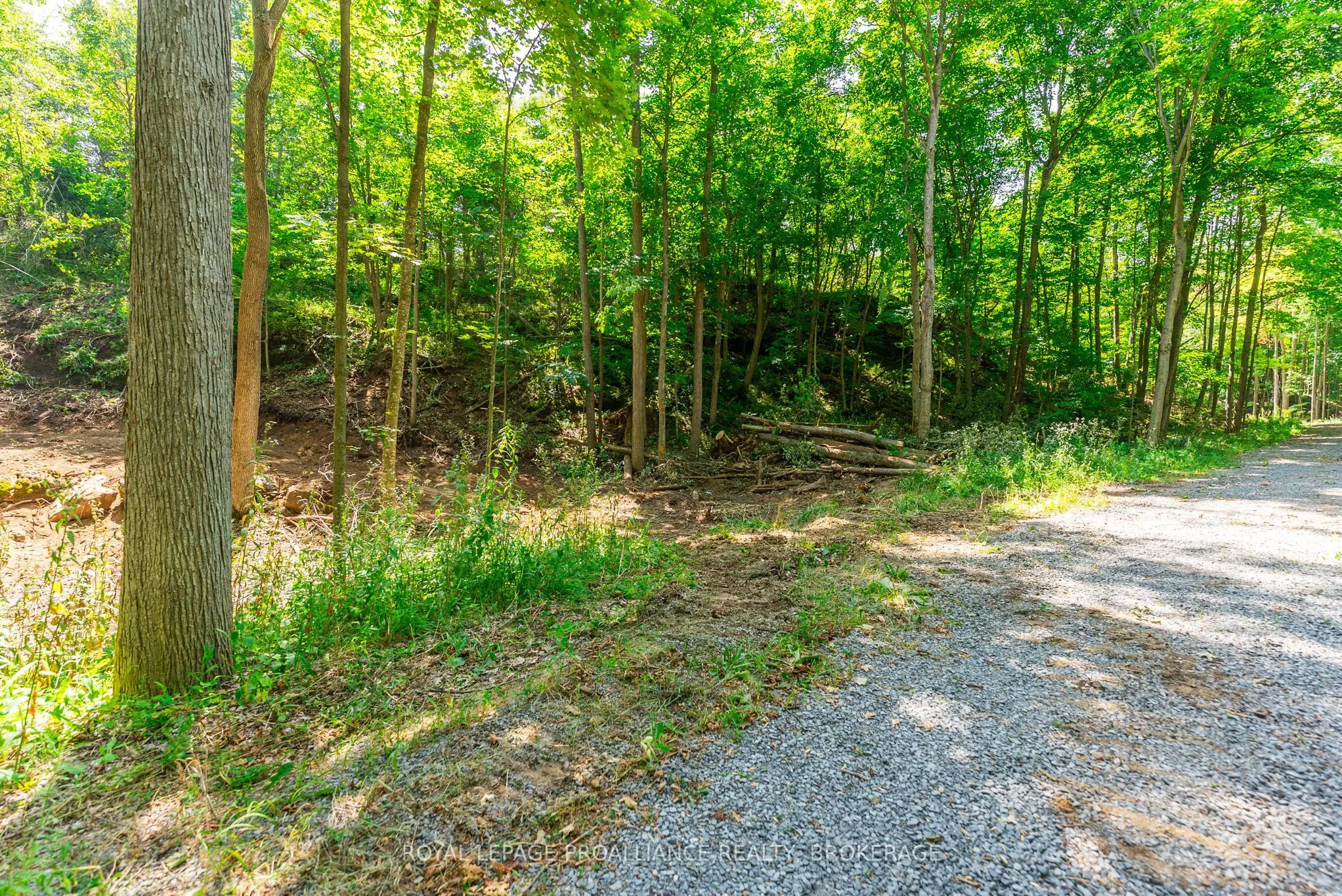 Lot 2 Trillium Lane