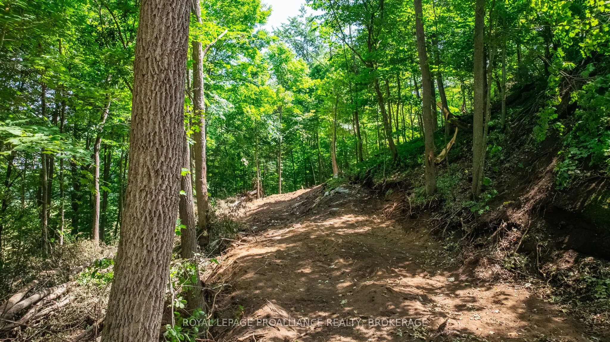 Lot 2 Trillium Lane