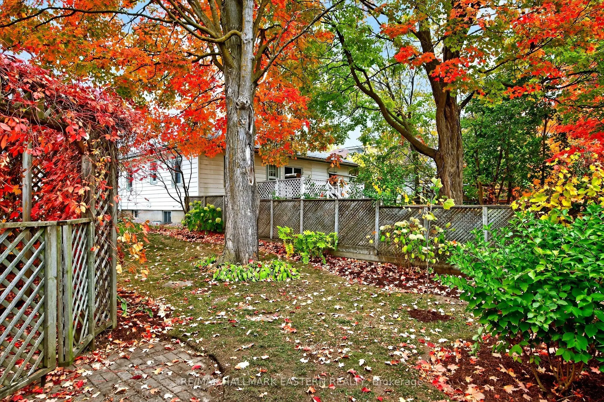 14 Alexander Avenue