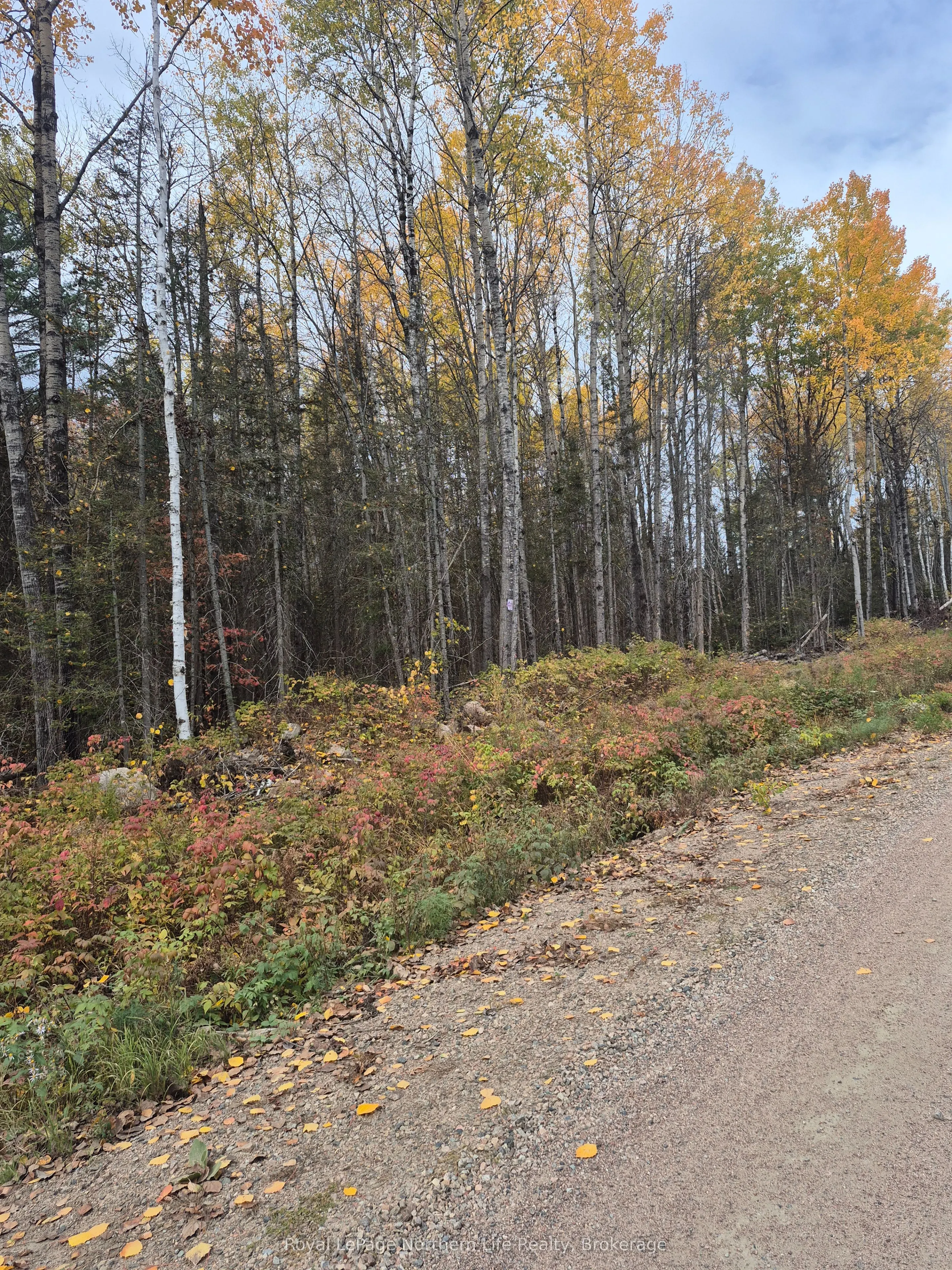 PT LOT 1 CON 9 ARCHAMBEAULT Road