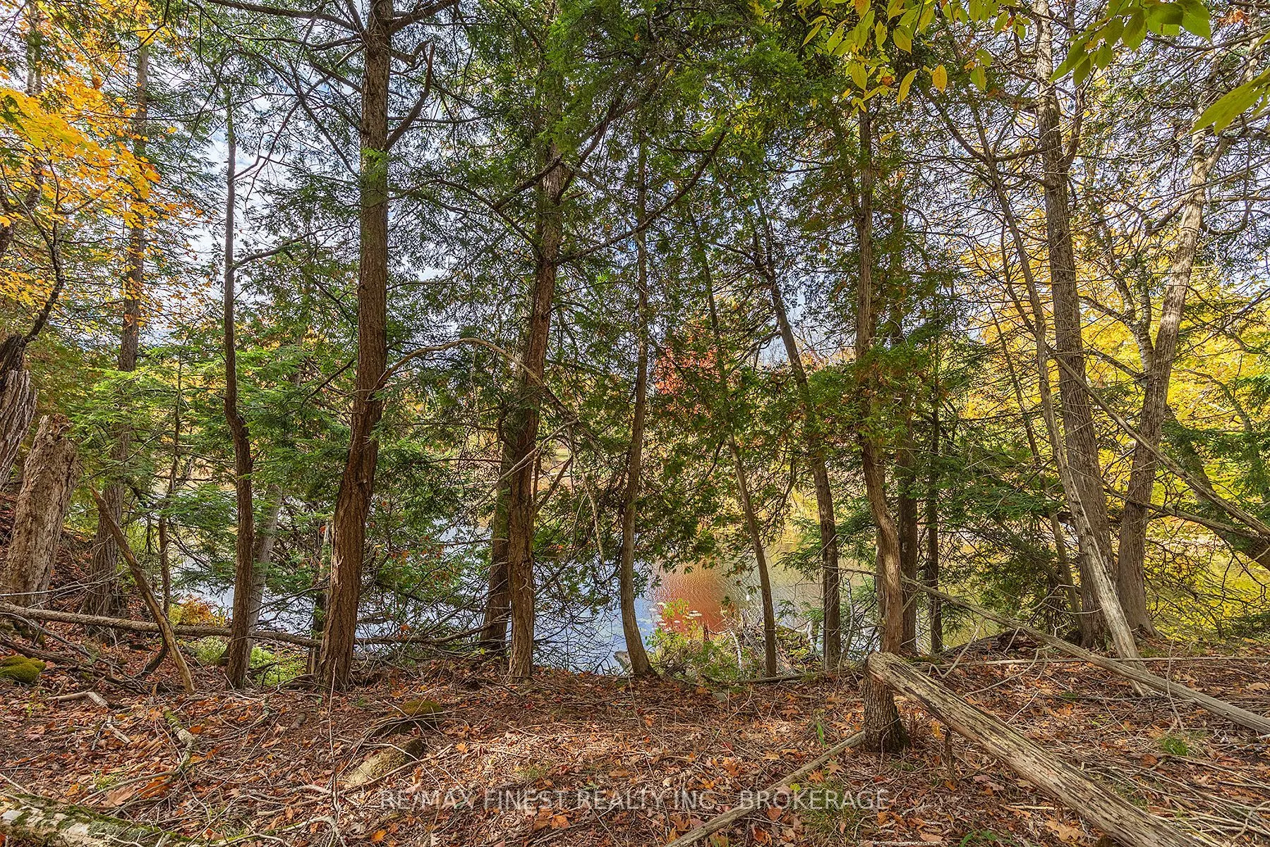 00 Cedarwoods Drive