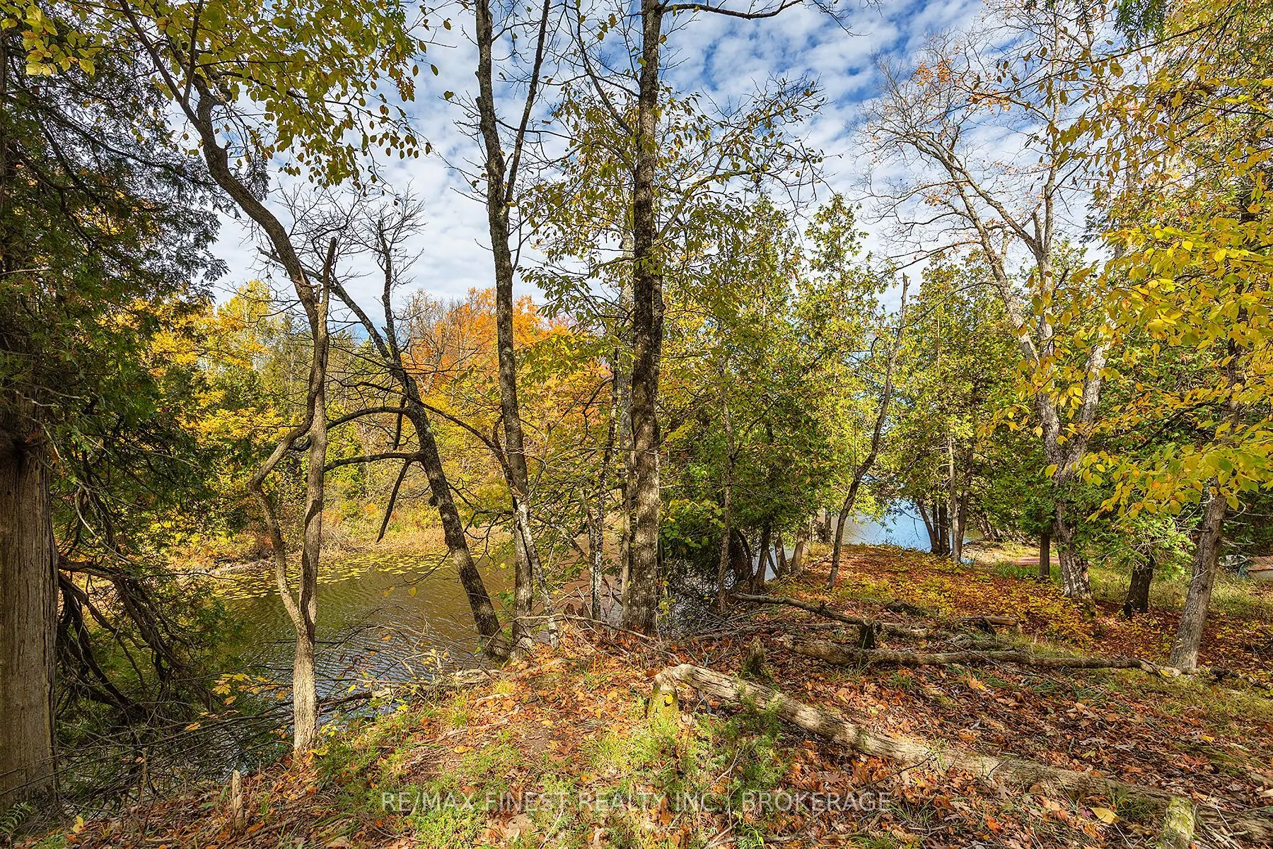 00 Cedarwoods Drive