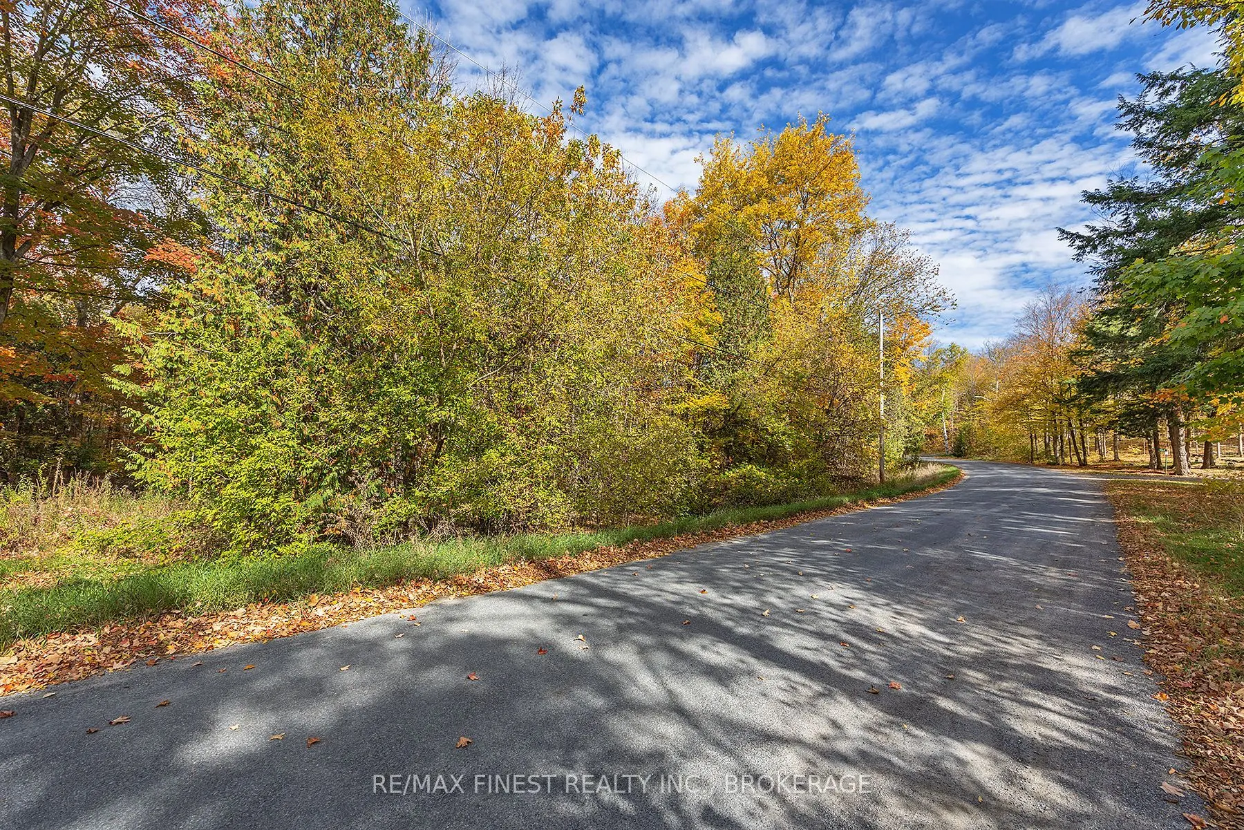 00 Cedarwoods Drive