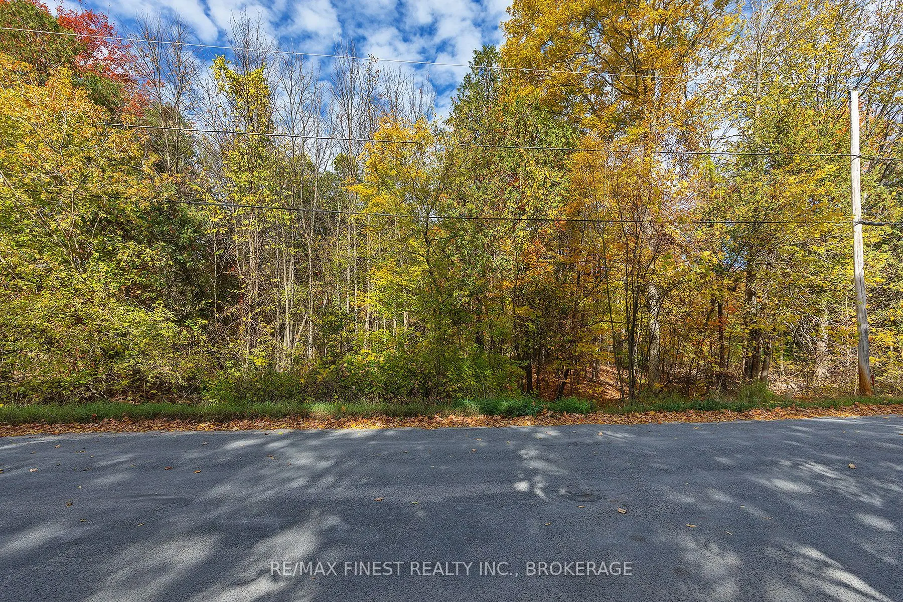 00 Cedarwoods Drive