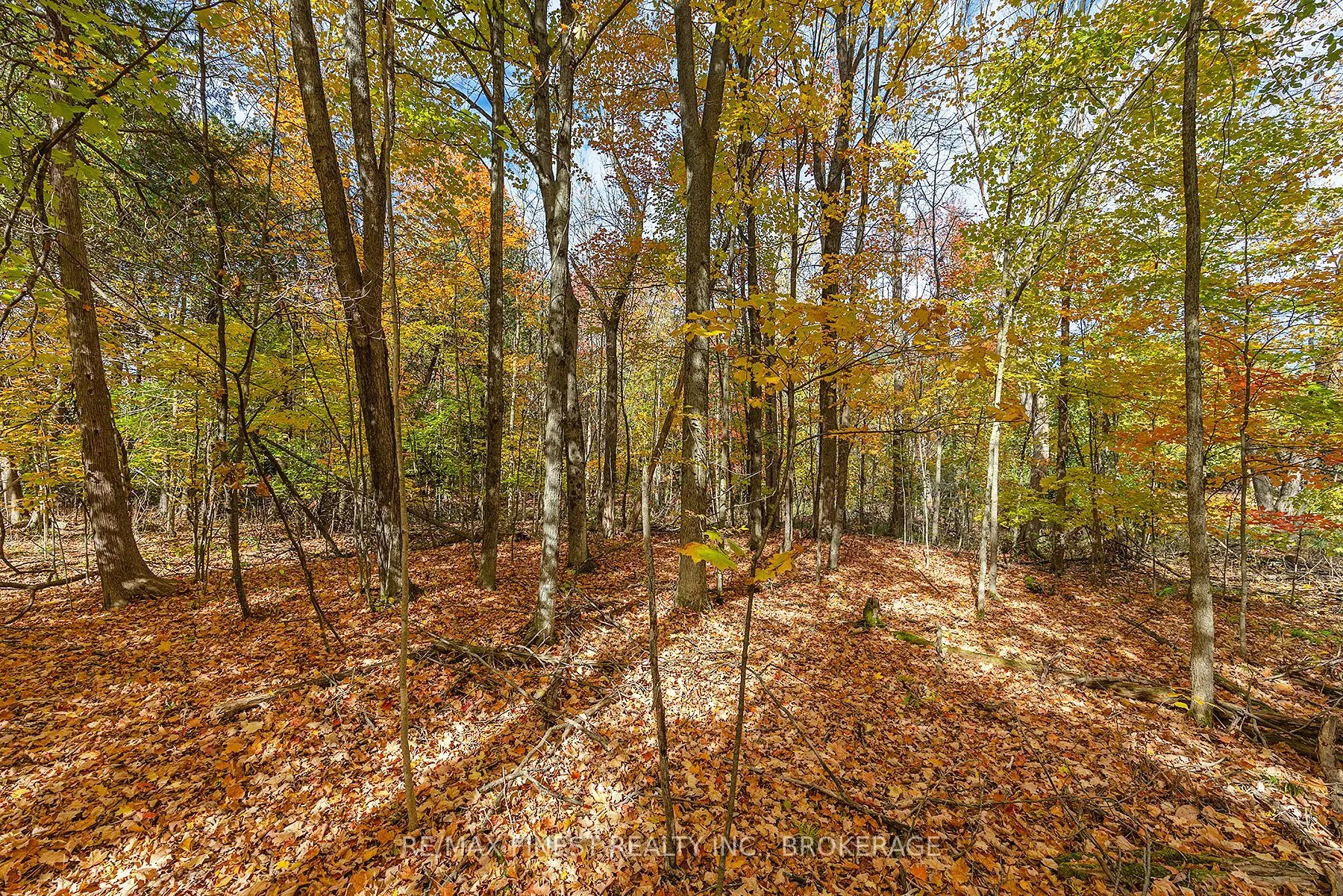 00 Cedarwoods Drive