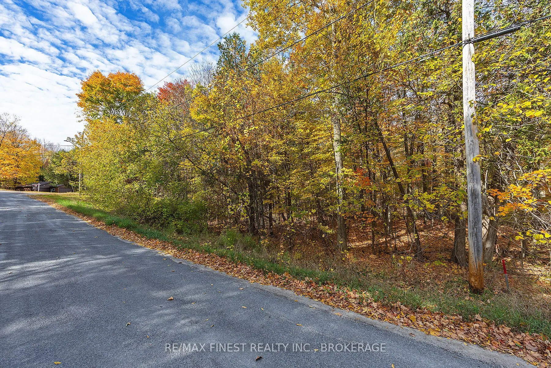 00 Cedarwoods Drive