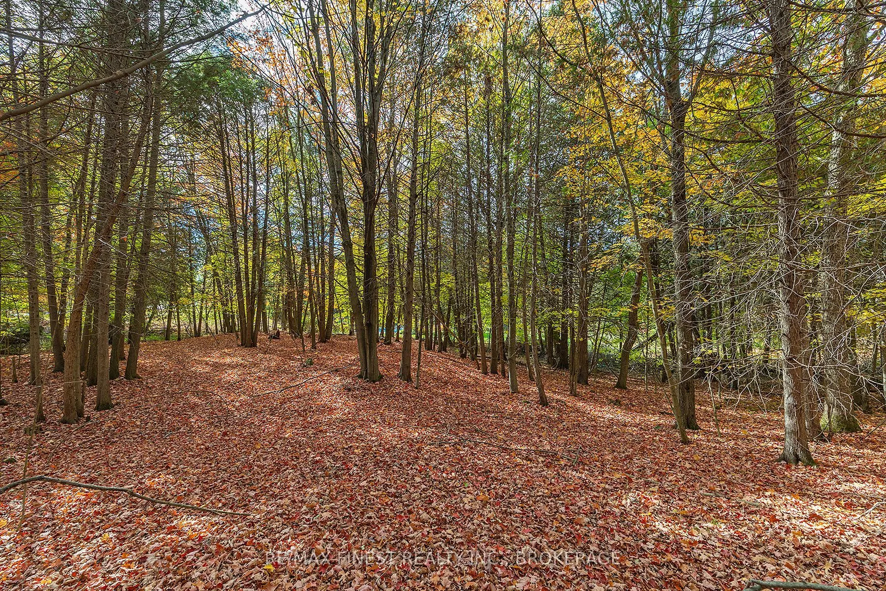 00 Cedarwoods Drive
