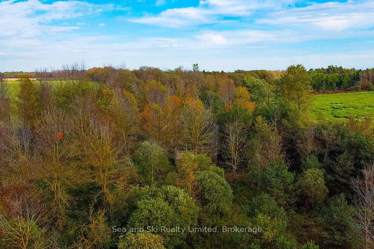 31313 Grey Road 14 Road