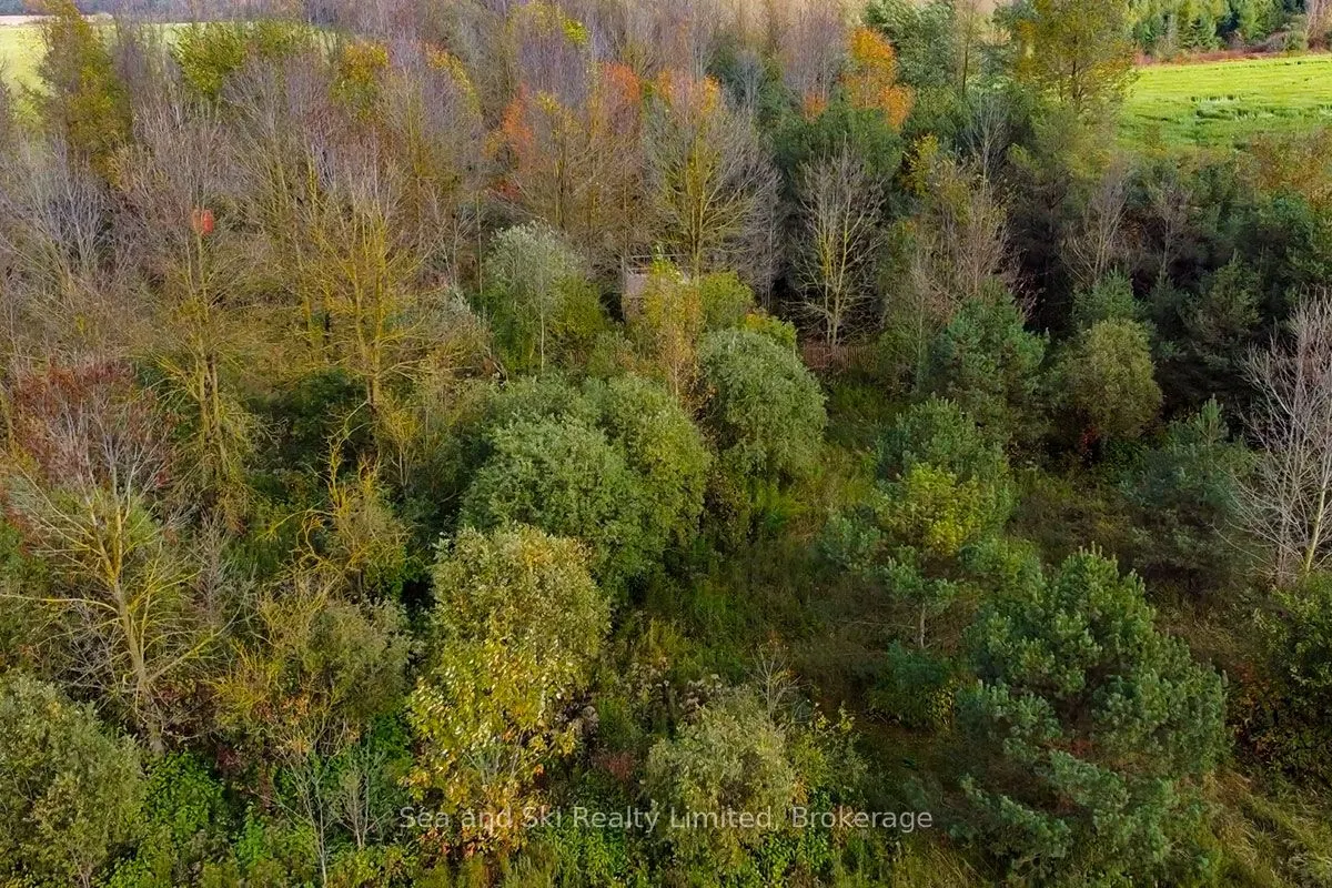 31313 Grey Road 14 Road