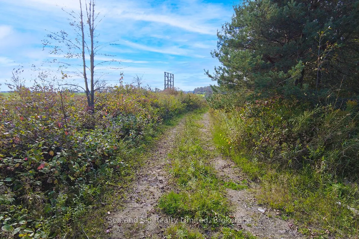 31313 Grey Road 14 Road