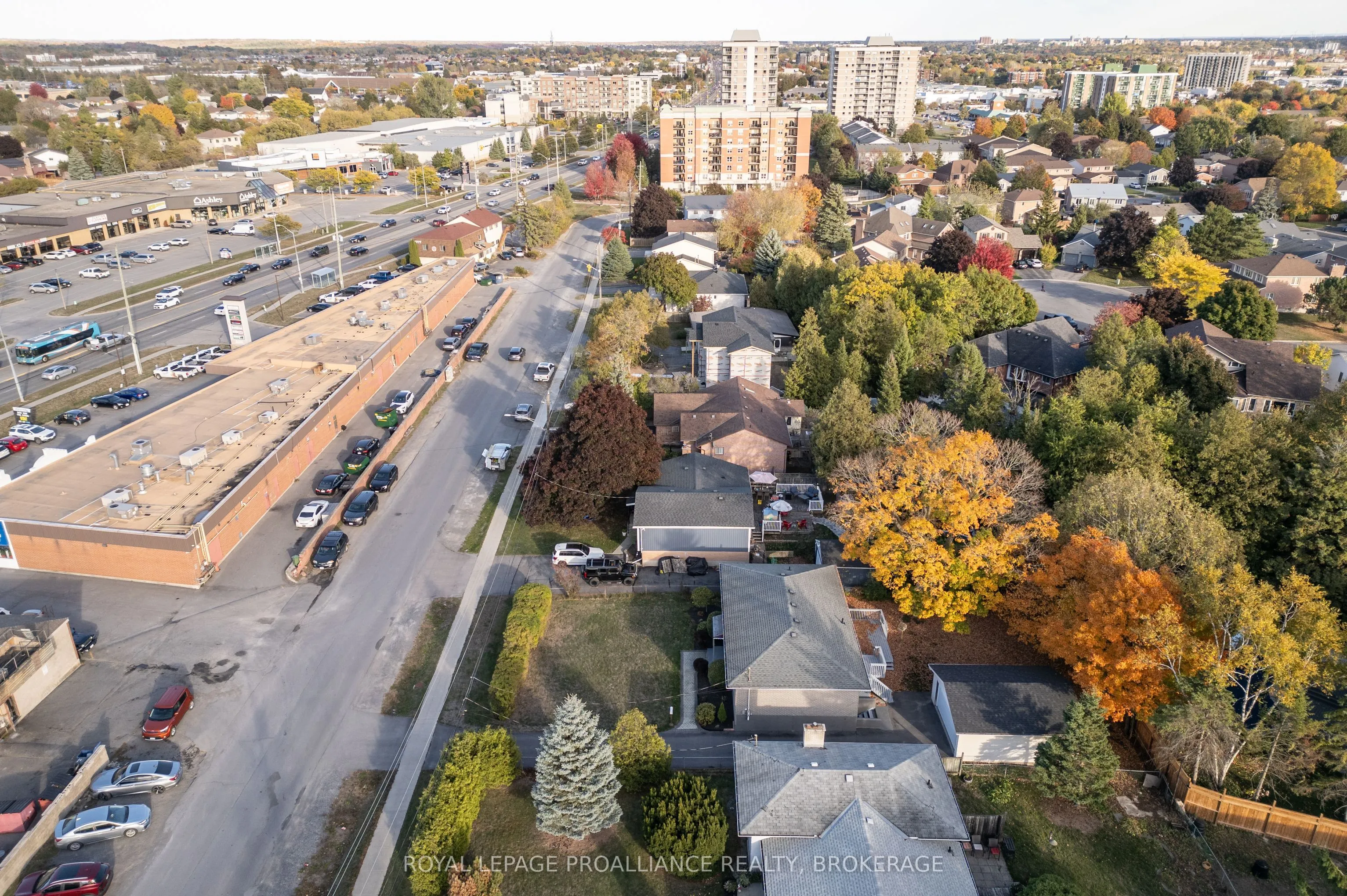 855 Woodbine Road