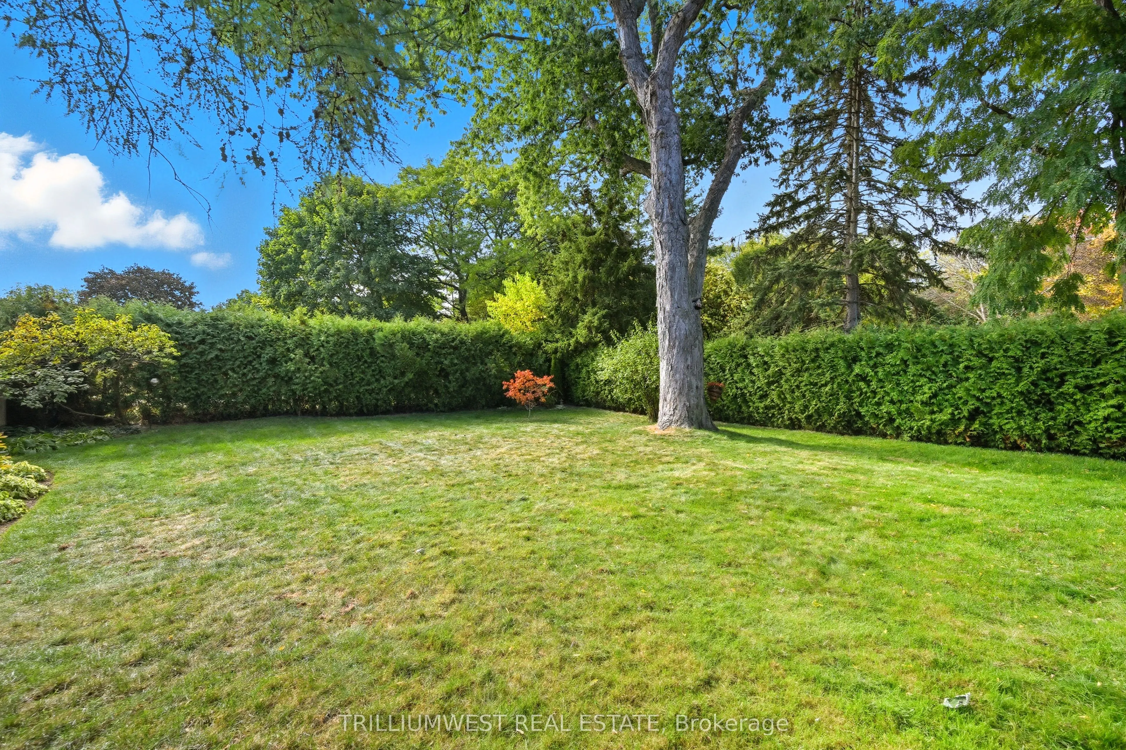 7 Avalon Avenue