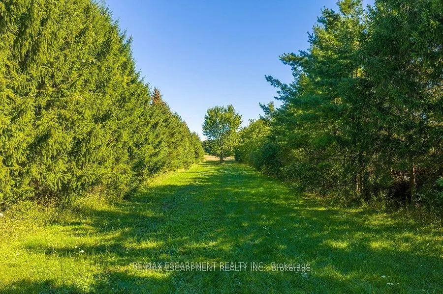 595 Green Mountain Road E