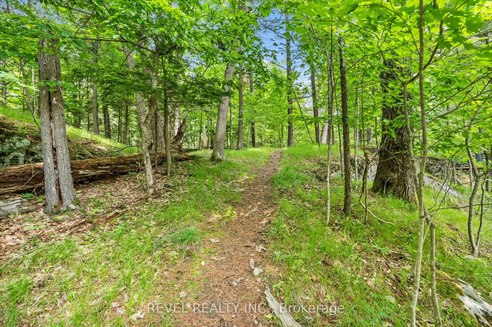 49 Sleepy Hollow Road