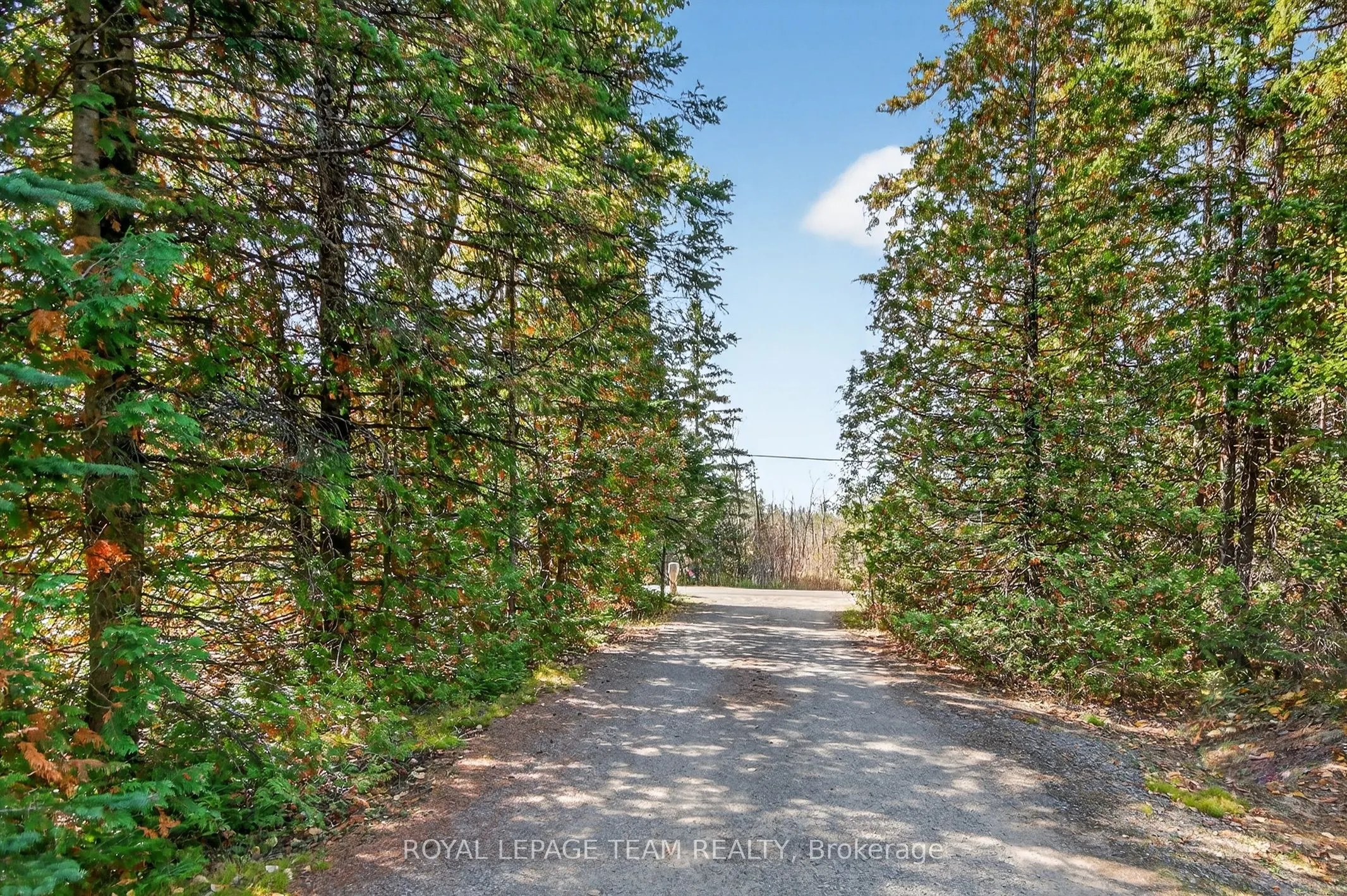 380 Brunton Side Rd, R.R. #3 Side Road
