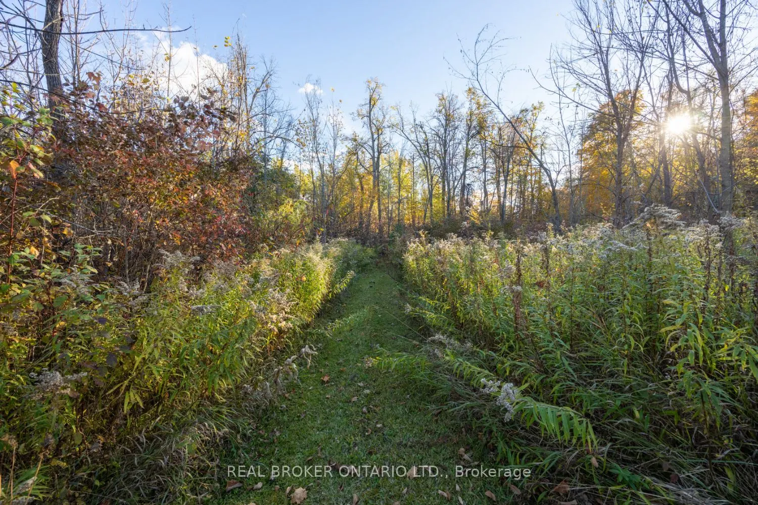 201 Richardson Road