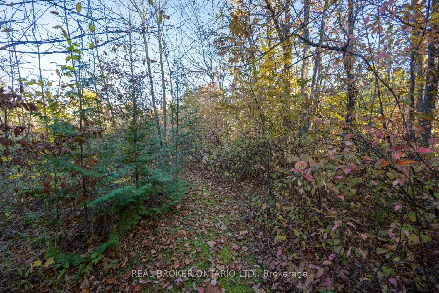 201 Richardson Road