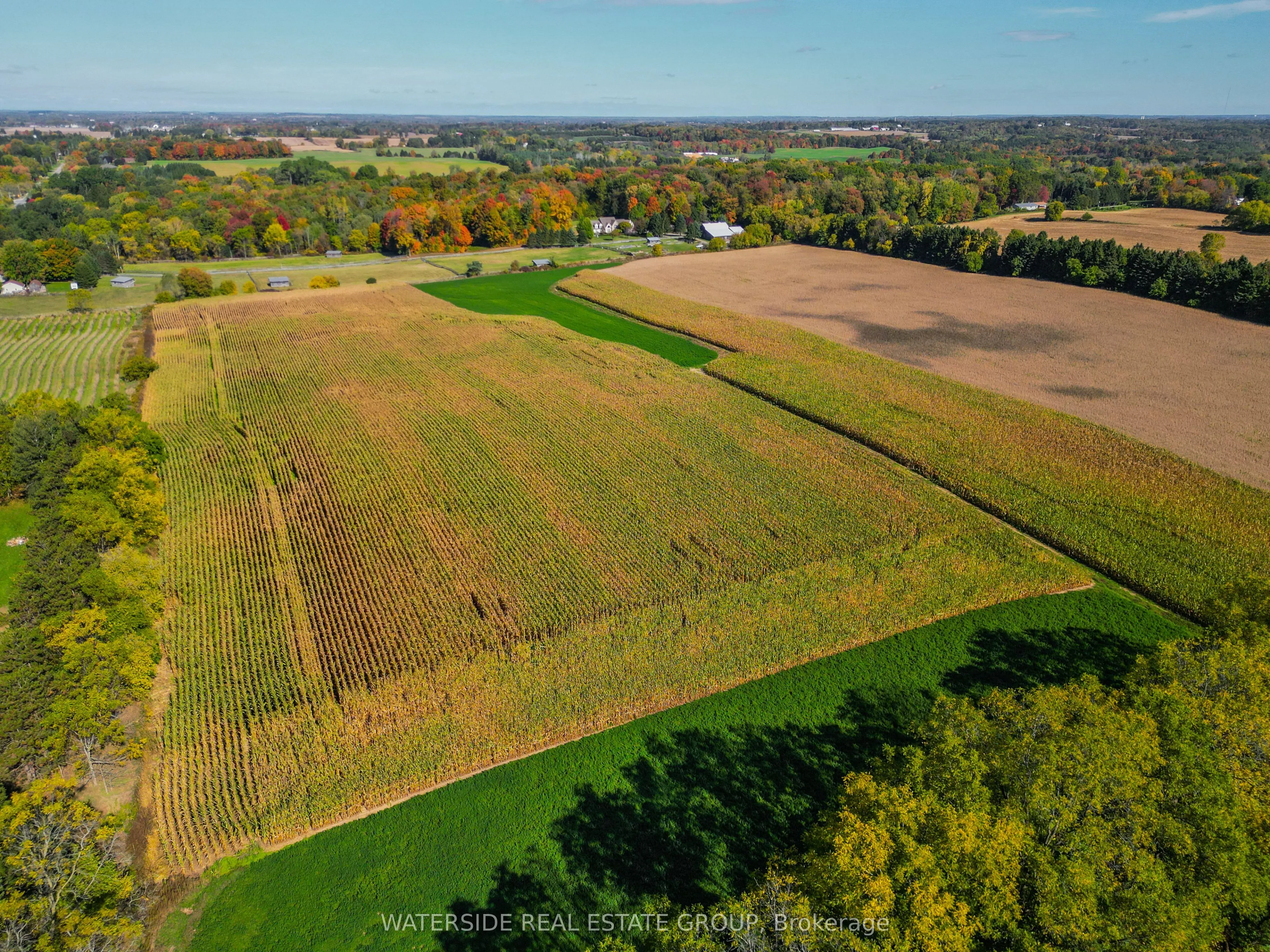PT LT 31 Mineral Springs Road