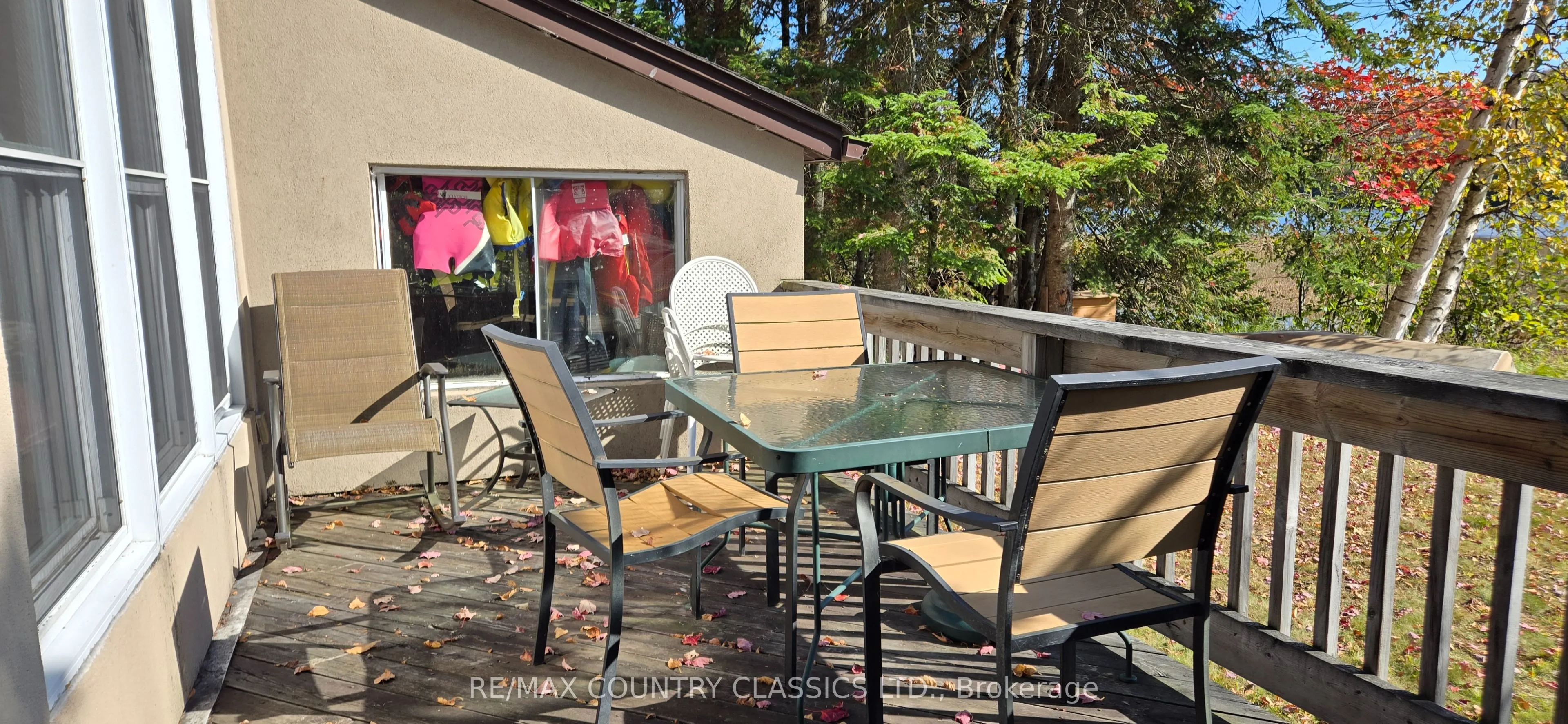 294 Albion Lake Drive