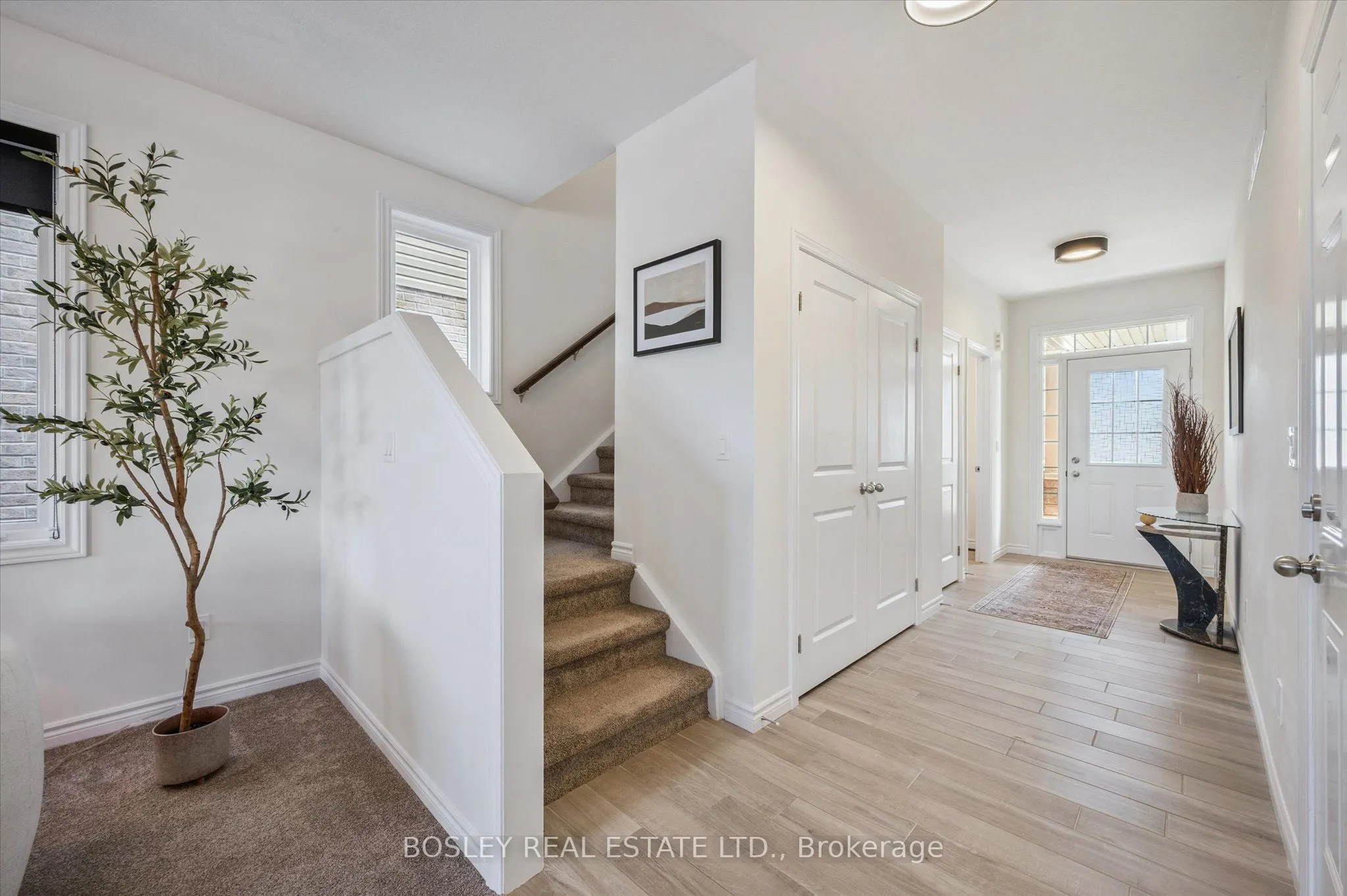 238 Vincent Drive