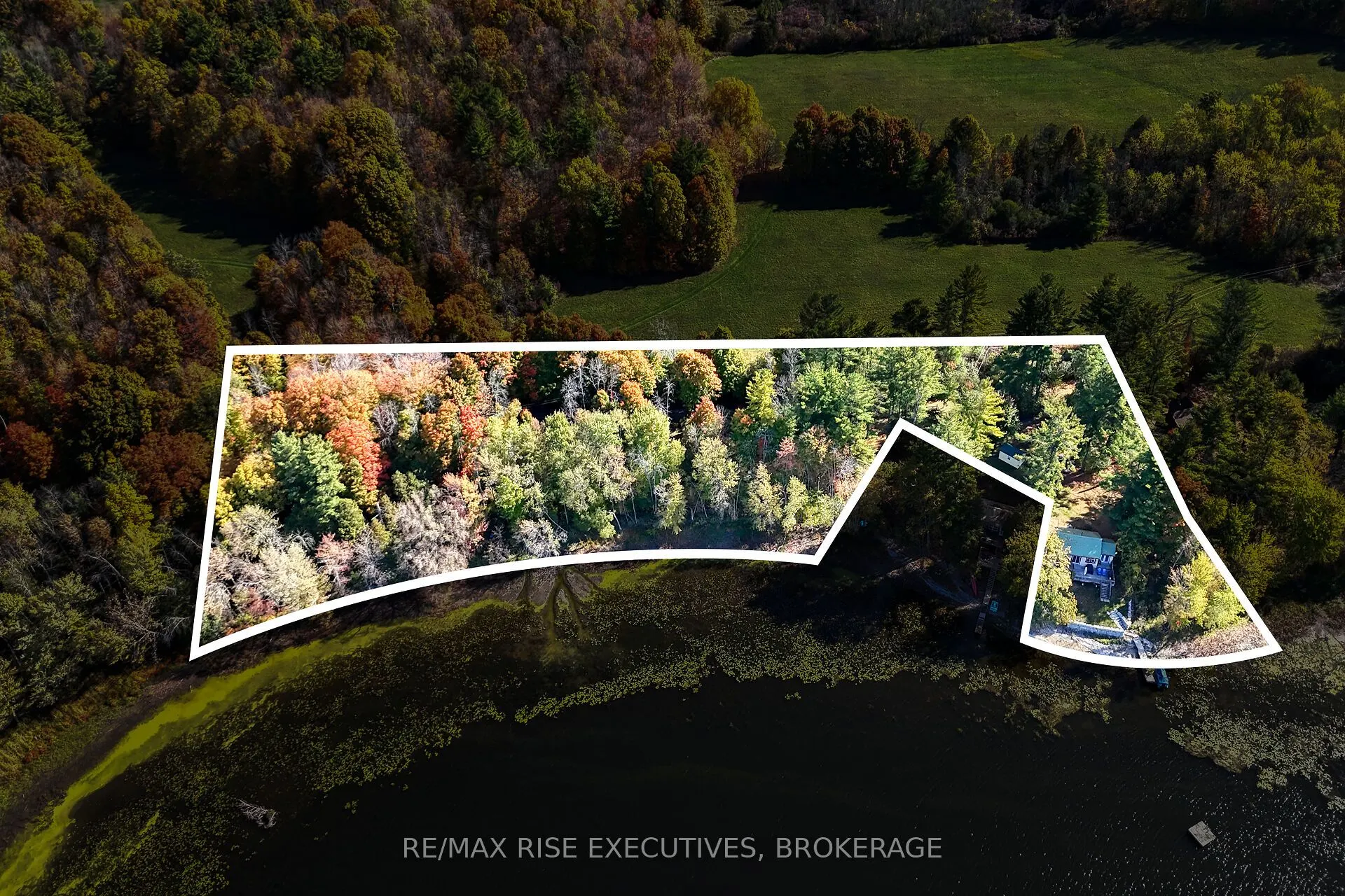 465K Lyndhurst Road