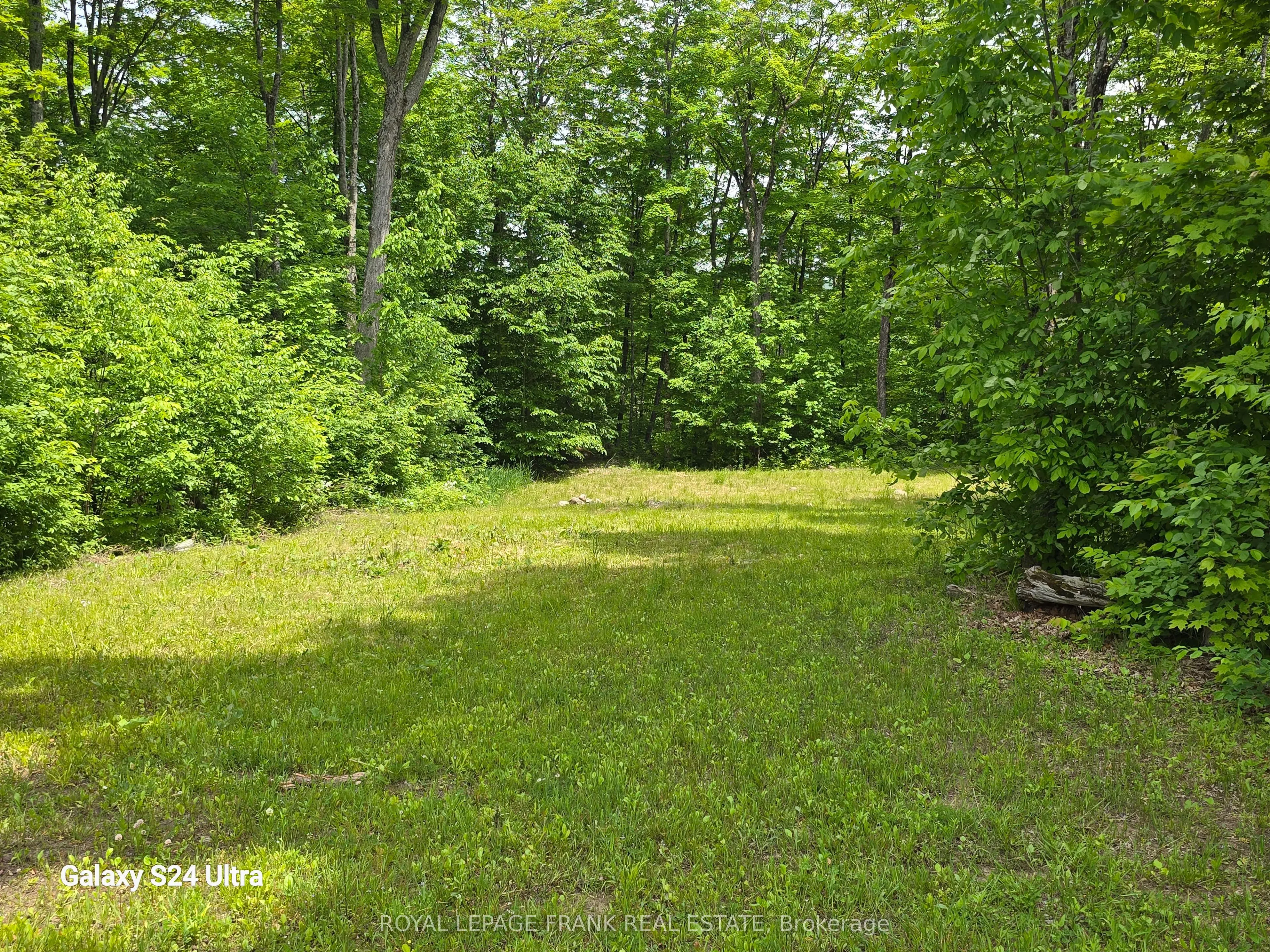 1097 Cheddar Road