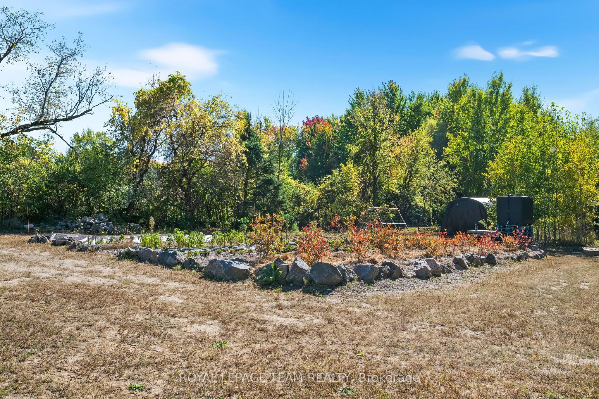 524 Osmond Daley Drive