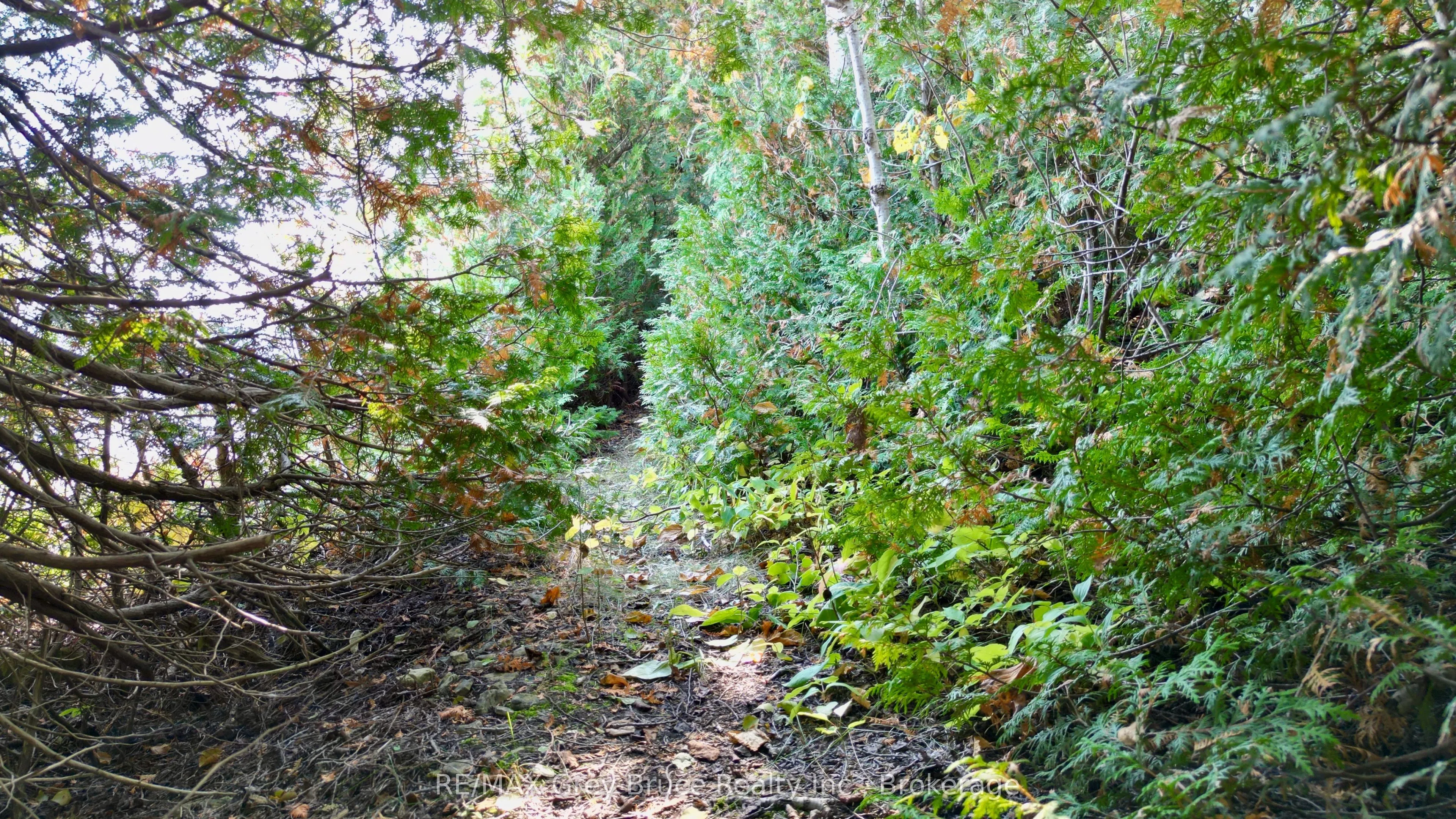 248 Isthmus Bay Road