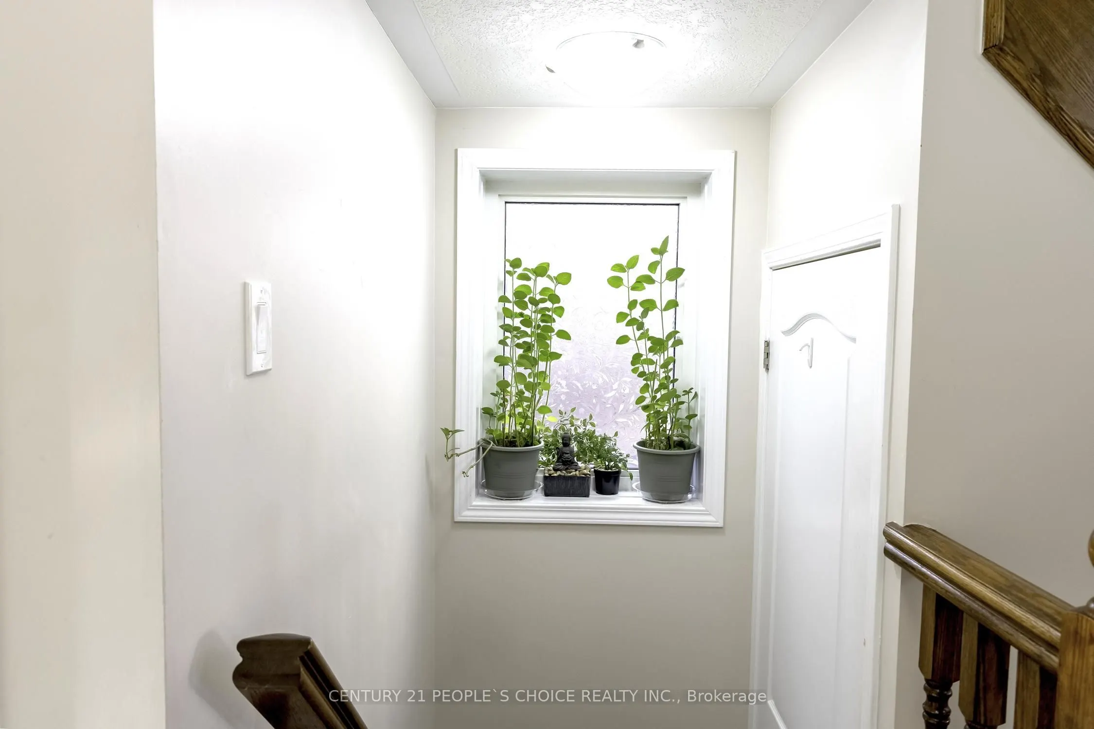 335 Falling Green Crescent