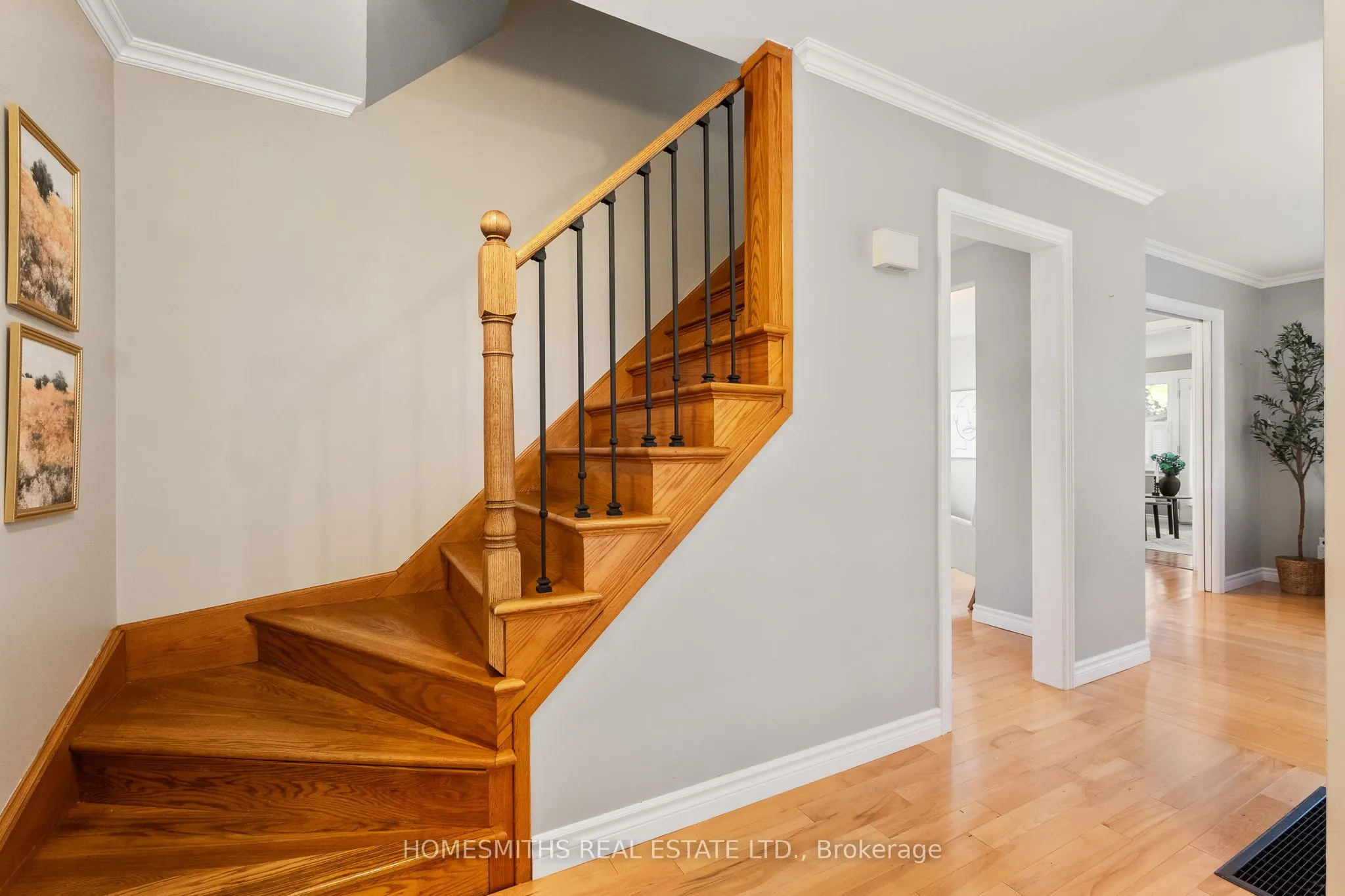 159 D'arcy Street