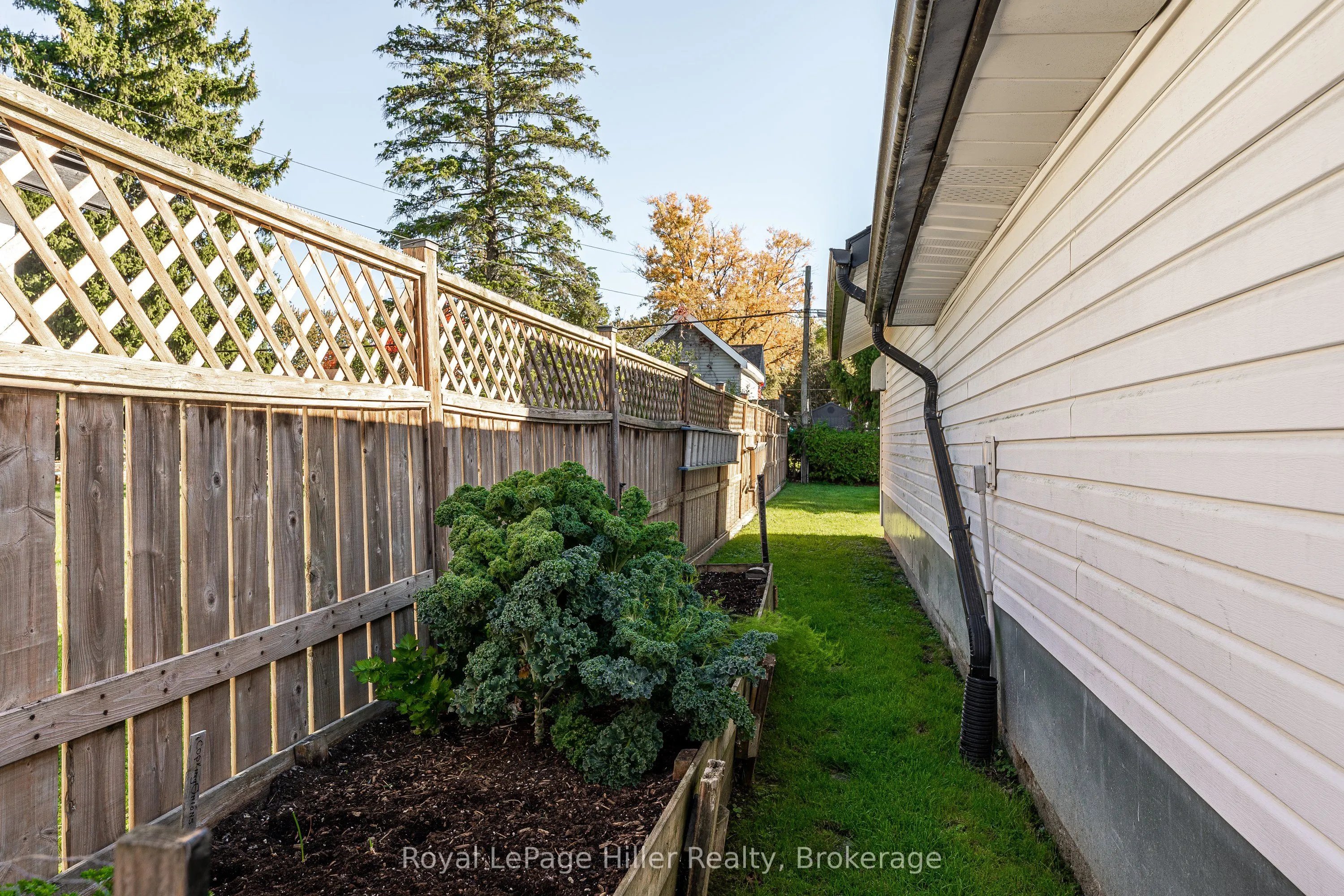 91 Strachan Street