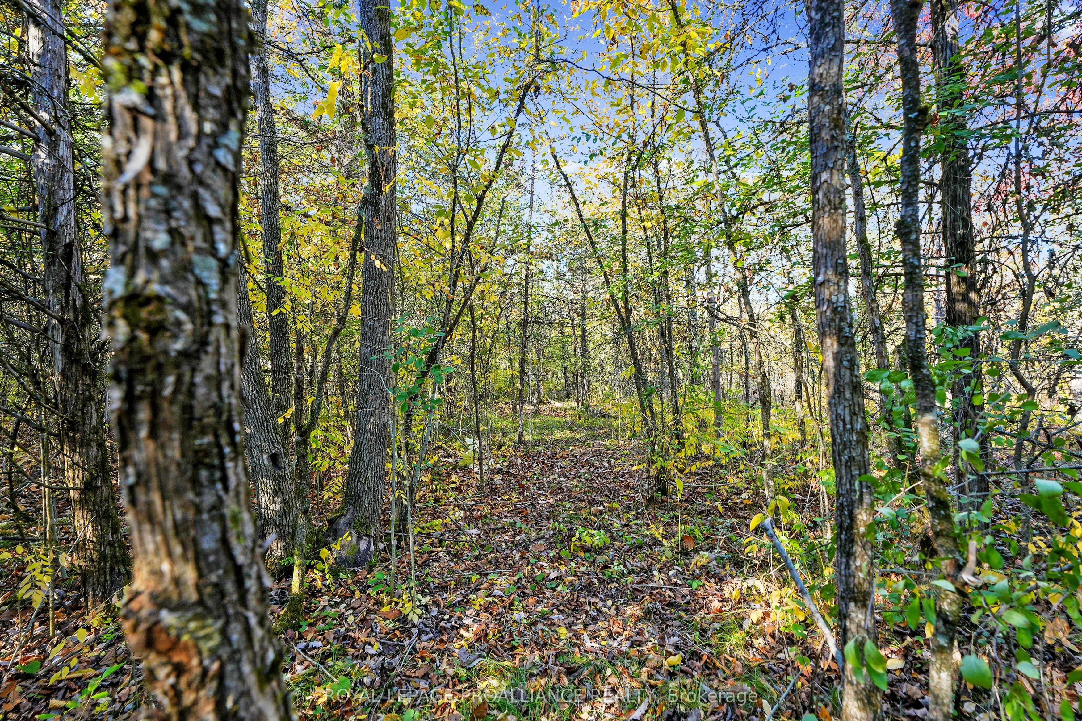 Lot 2 Hillside Drive