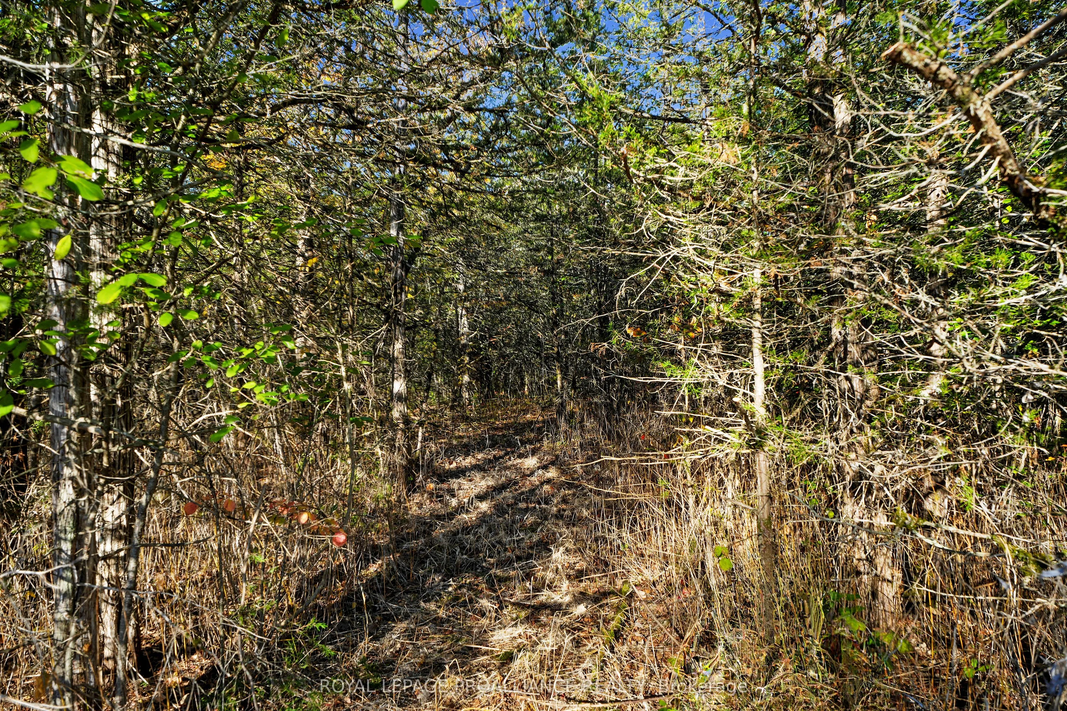 Lot 2 Hillside Drive