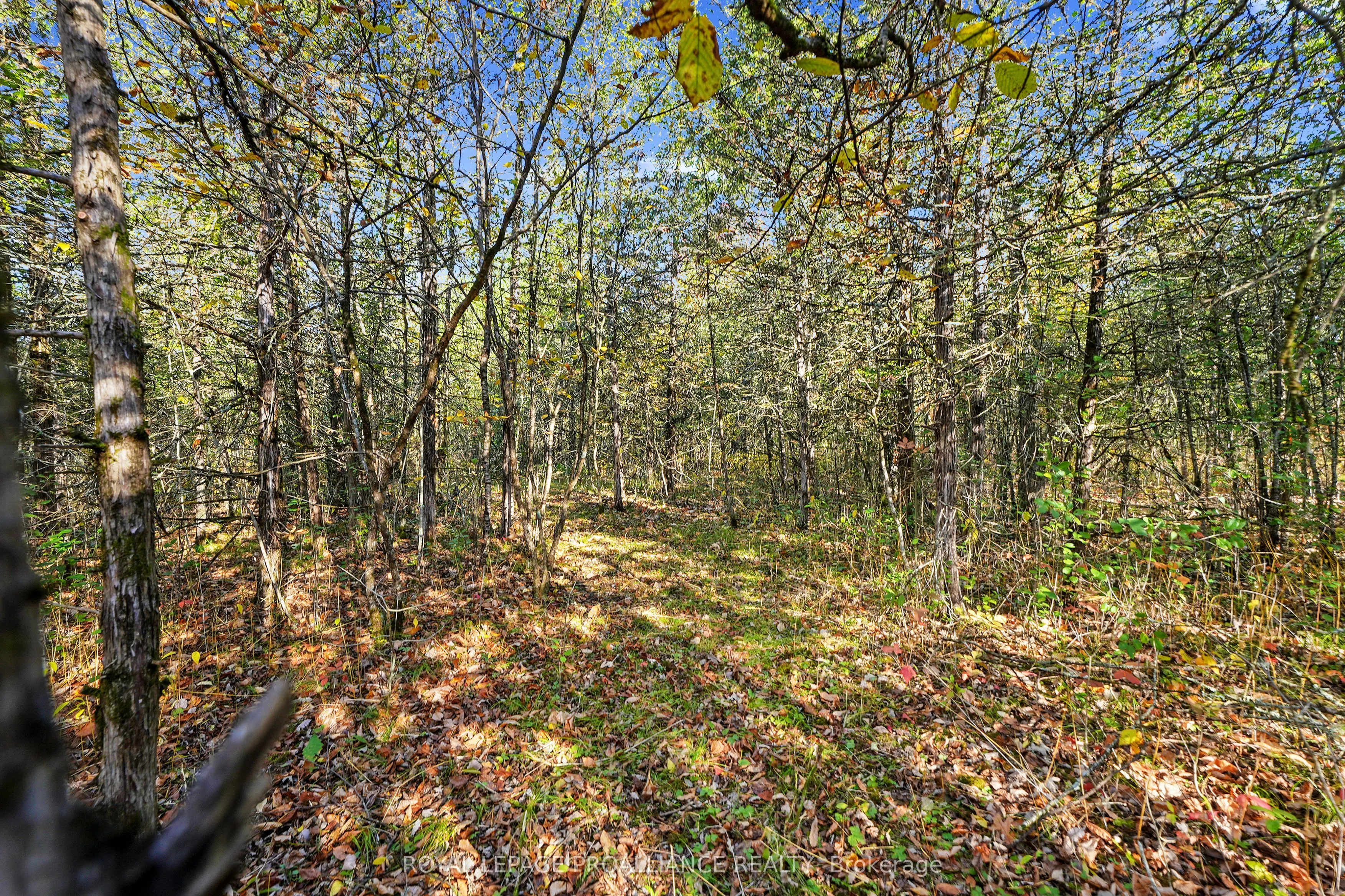 Lot 2 Hillside Drive