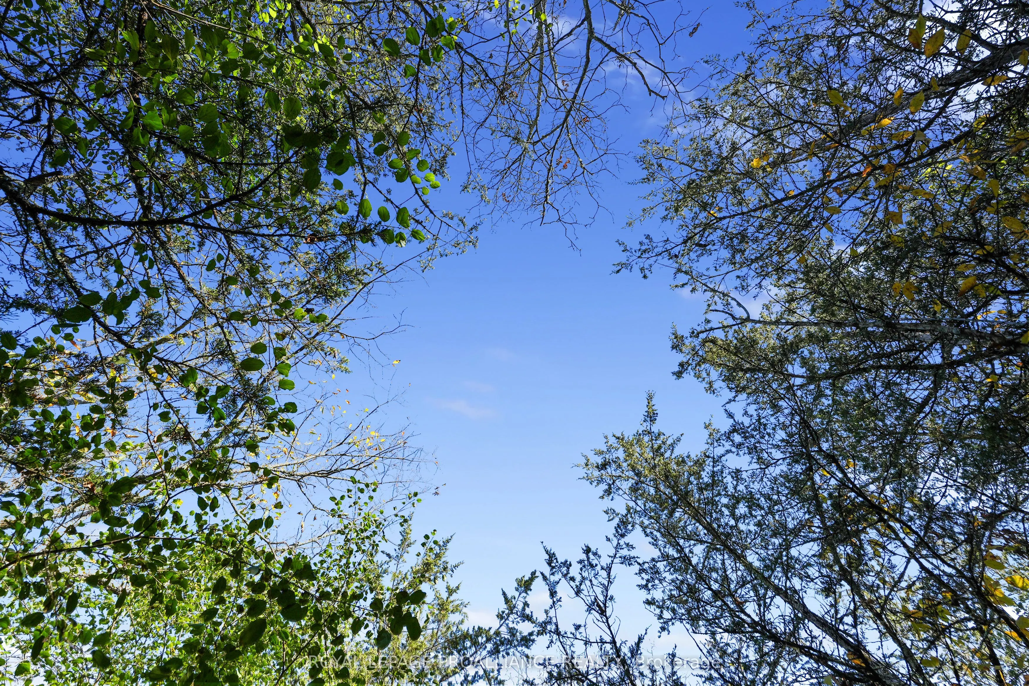 Lot 2 Hillside Drive