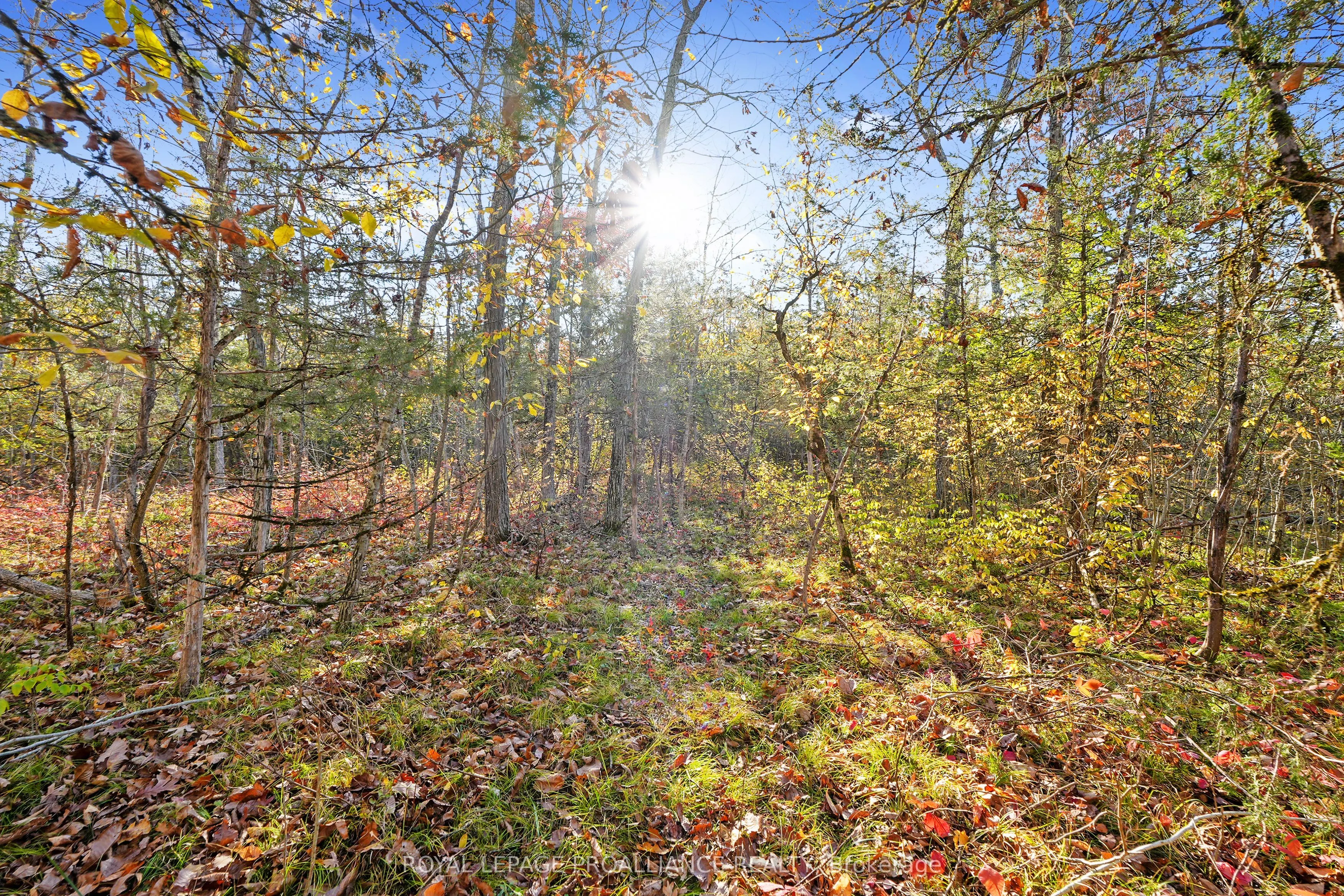Lot 2 Hillside Drive