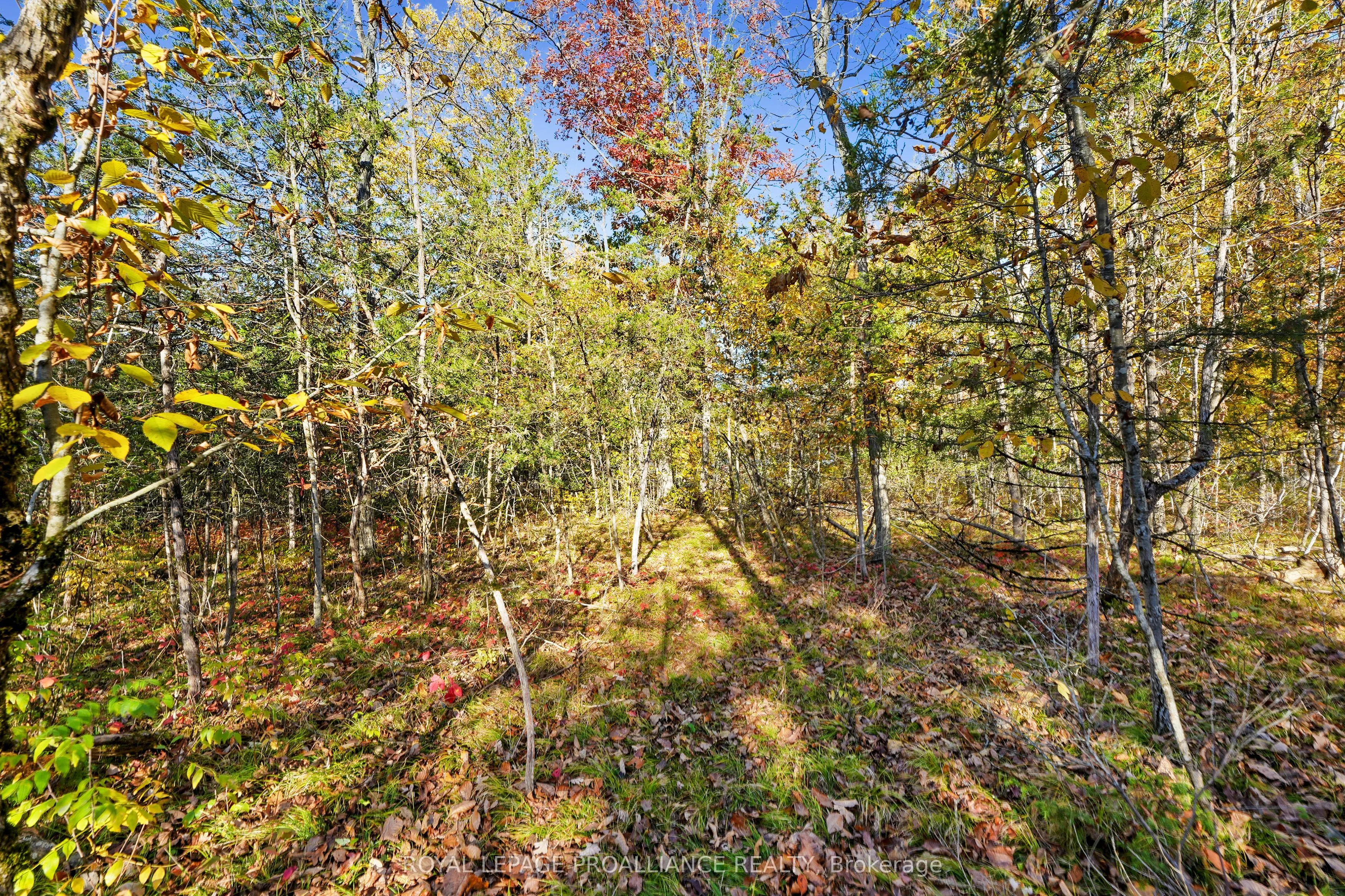 Lot 2 Hillside Drive