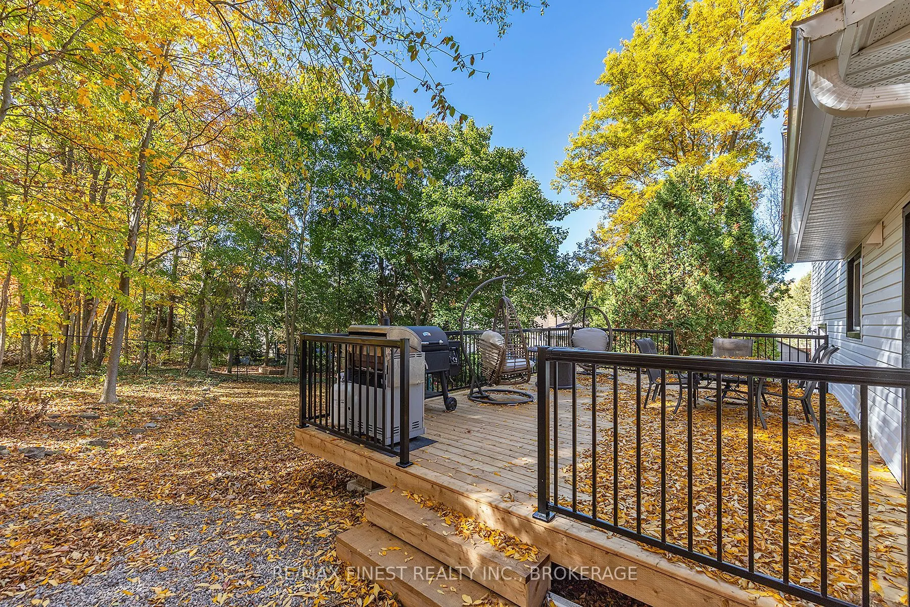 9 Beagle Court