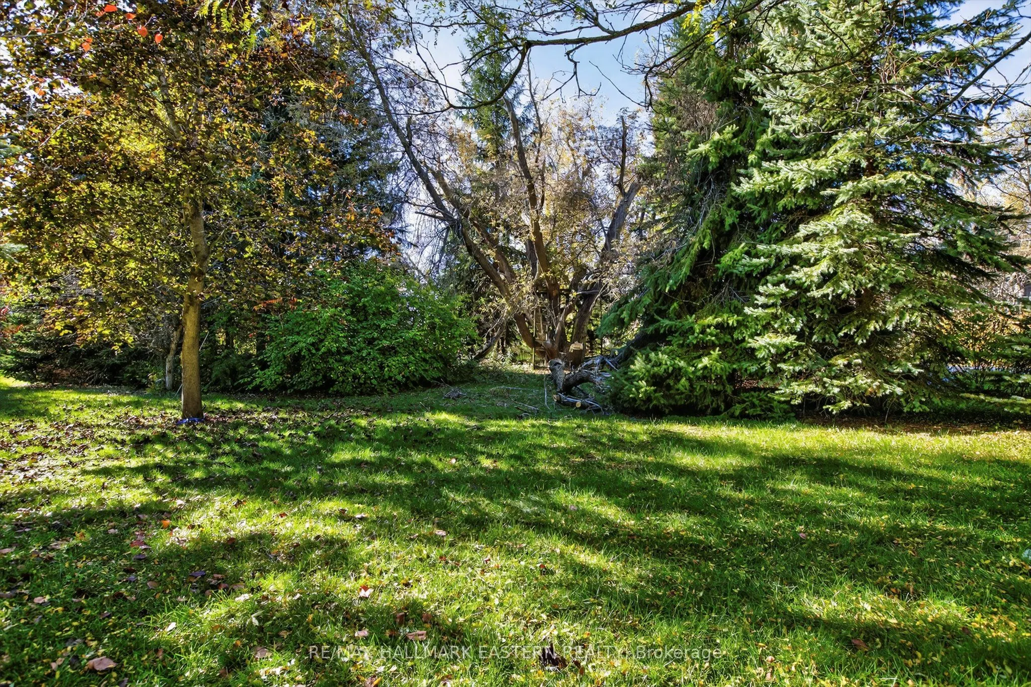 2288 County Rd 45