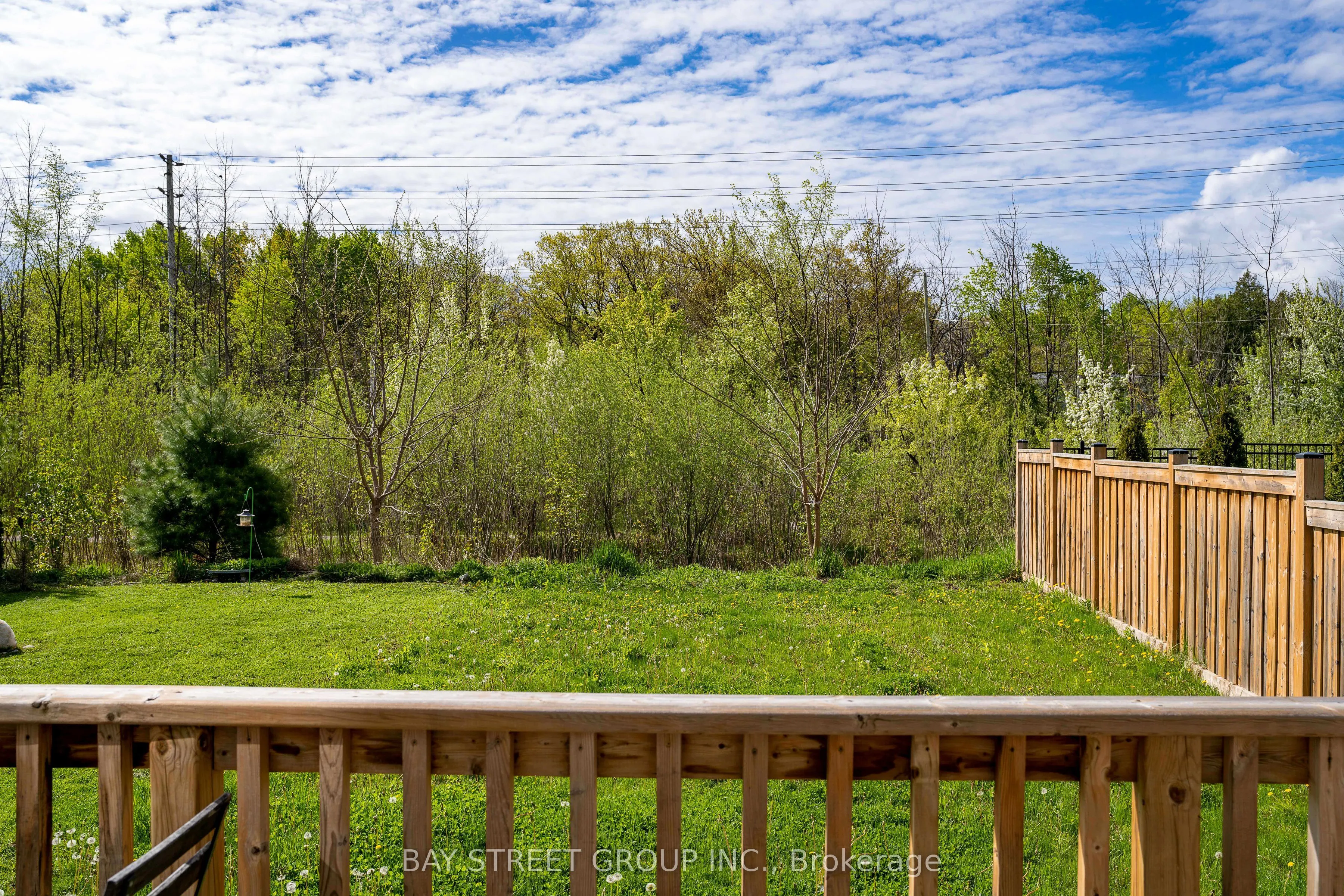 142 yellow birch Crescent