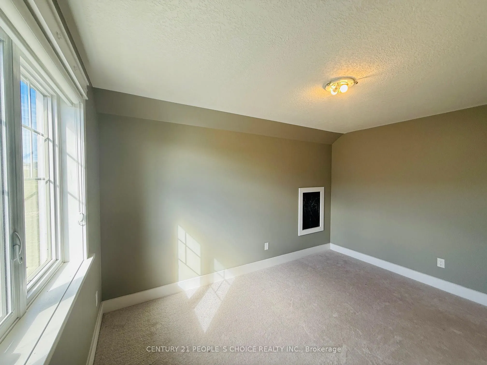 266 Snowberry Lane