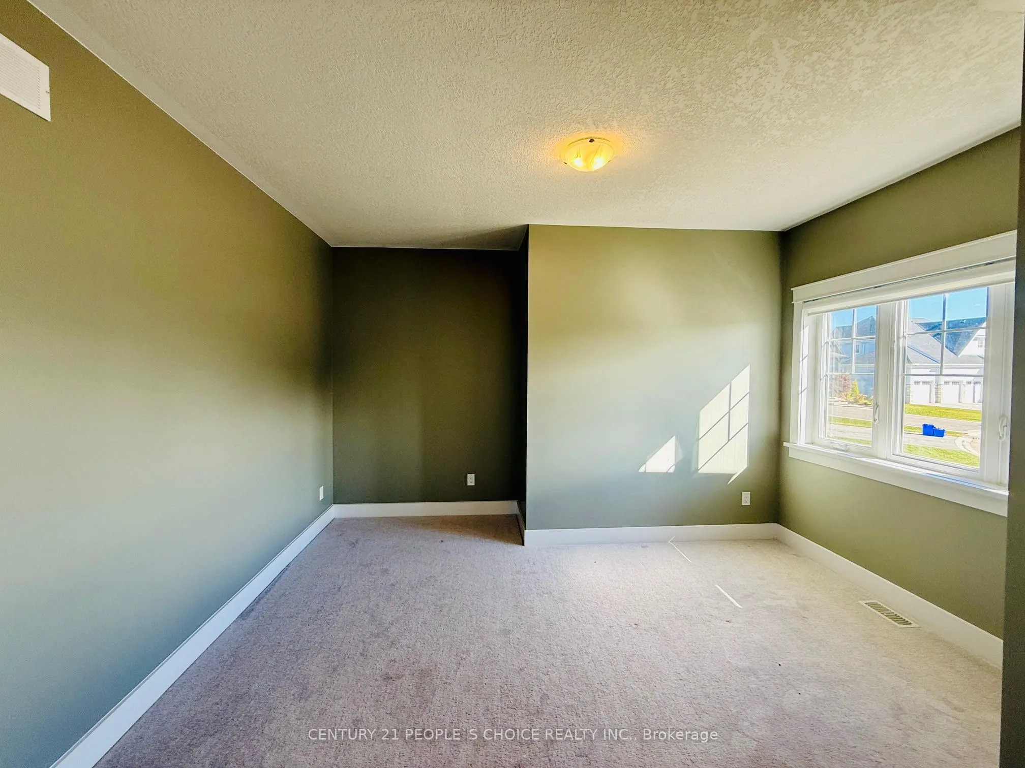 266 Snowberry Lane