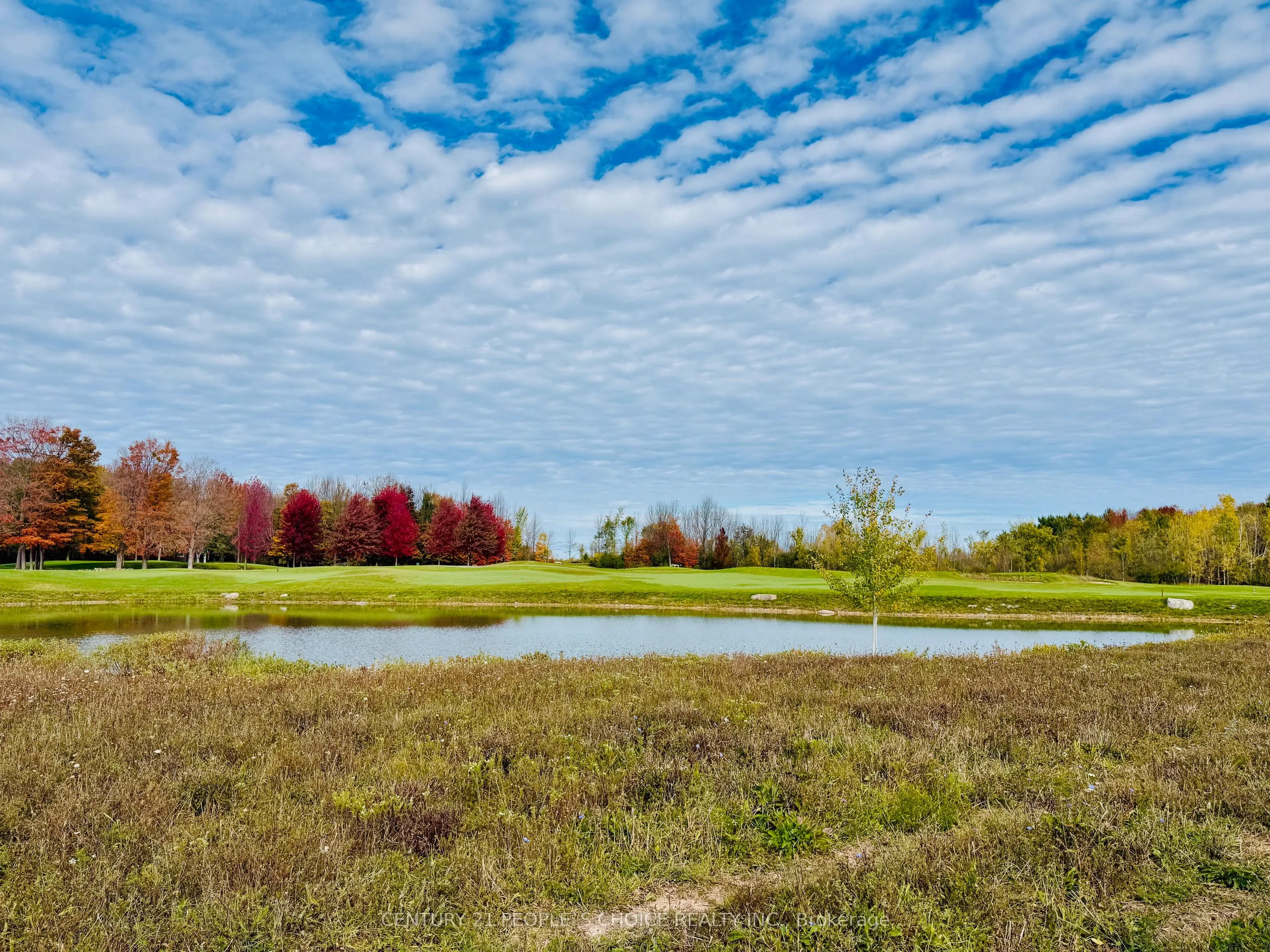 266 Snowberry Lane