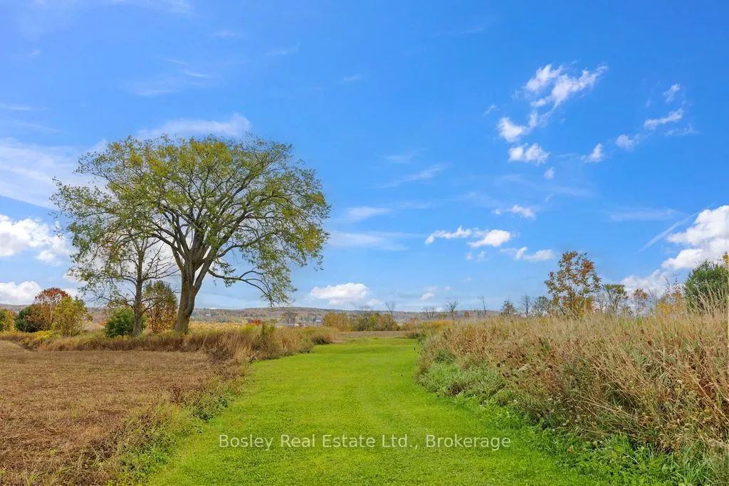 355695 The Blue Mountain Euphrasia Townline