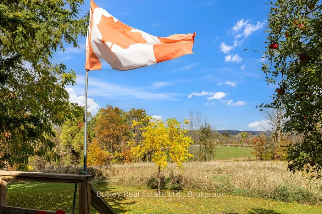 355695 The Blue Mountain Euphrasia Townline