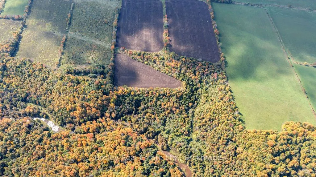 355695 The Blue Mountain Euphrasia Townline