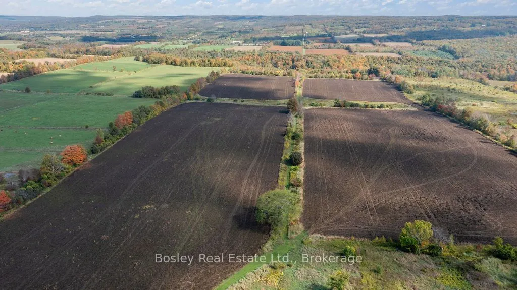 355695 The Blue Mountain Euphrasia Townline