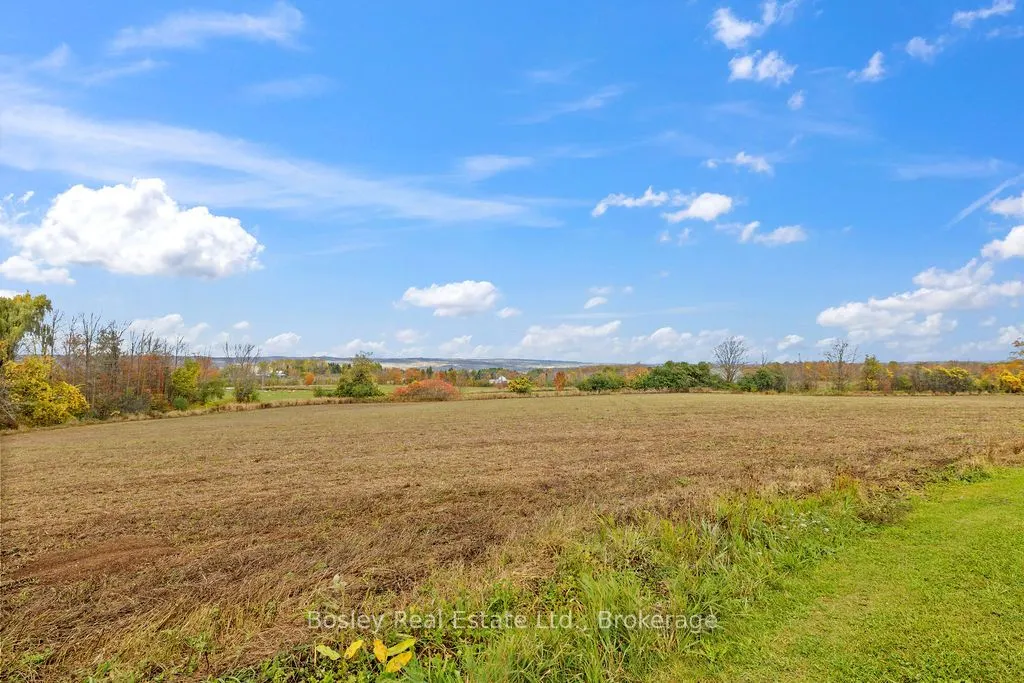 355695 The Blue Mountain Euphrasia Townline